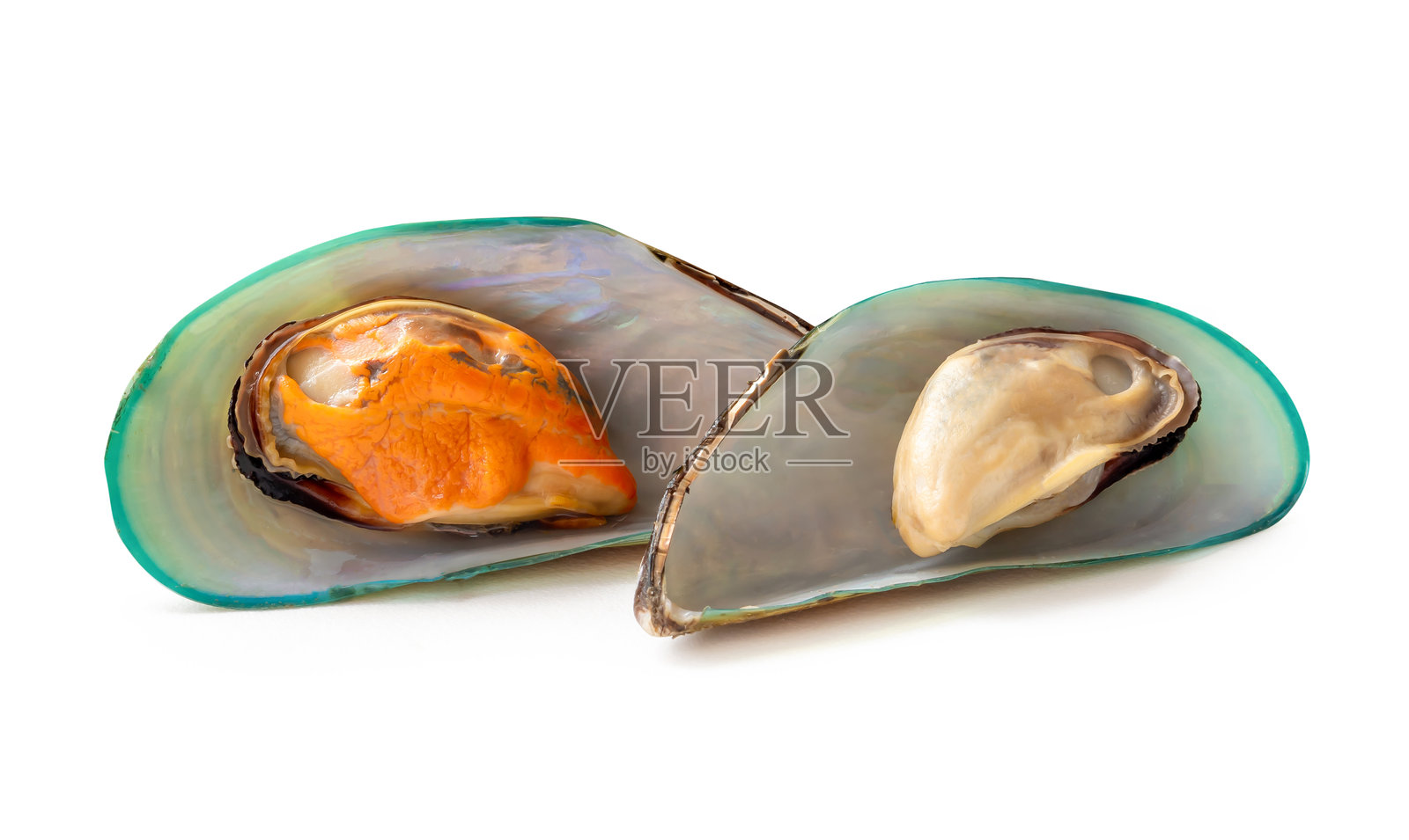 侧面视图的熟制或蒸制青口贝，背景为白色，带有抠图路径。照片摄影图片
