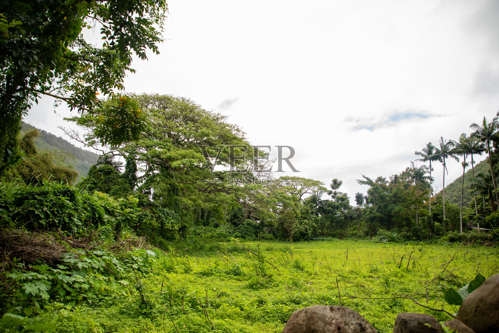 夏季的怀皮奥谷照片摄影图片