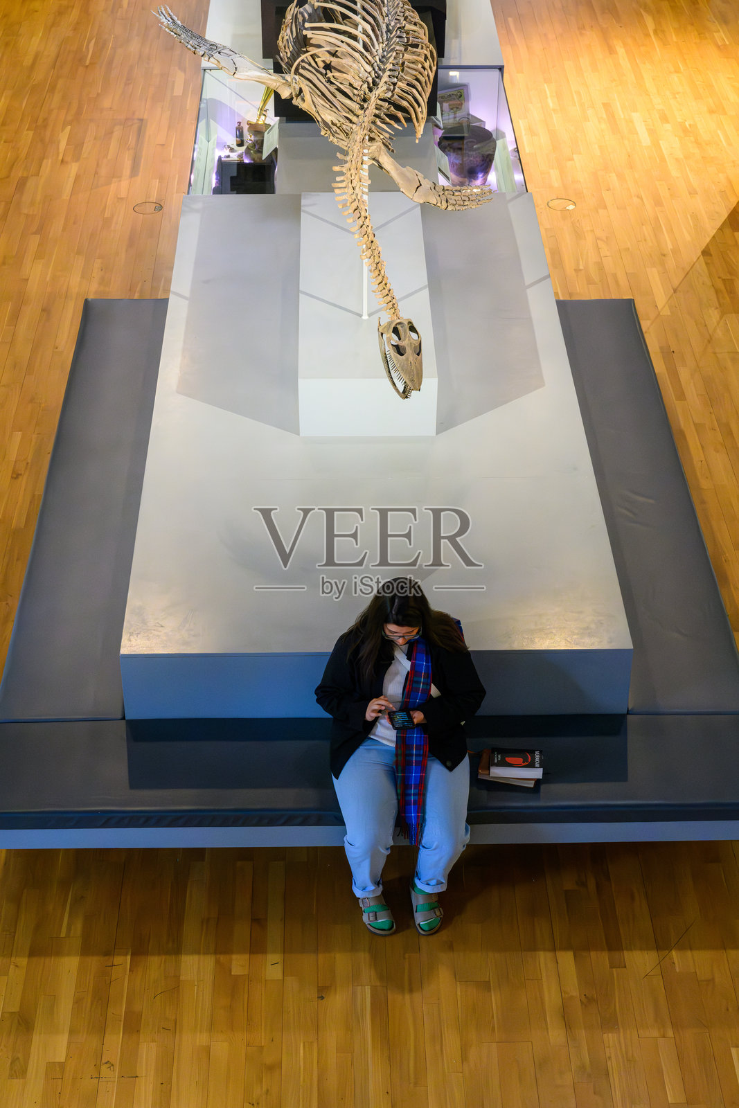 亨特里安博物馆的太平洋右鲸骨架“窥视”着一位专注于智能手机的年轻女士照片摄影图片