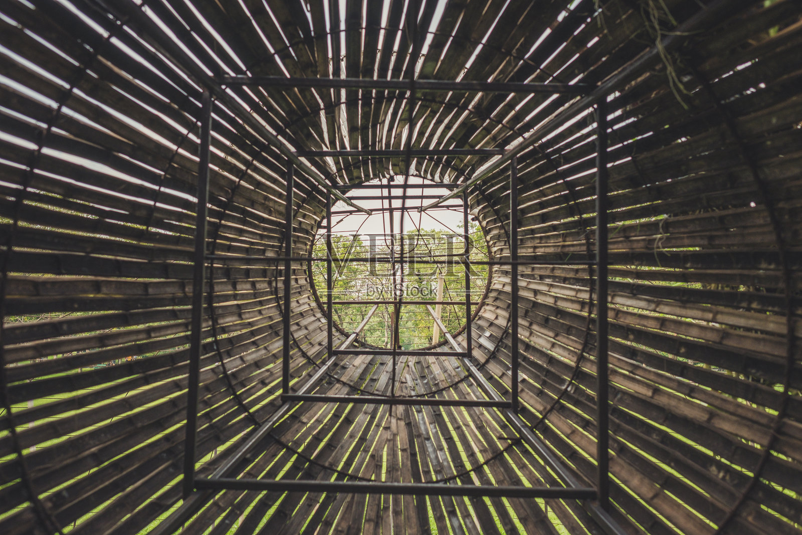 竹子的全景特写照片摄影图片