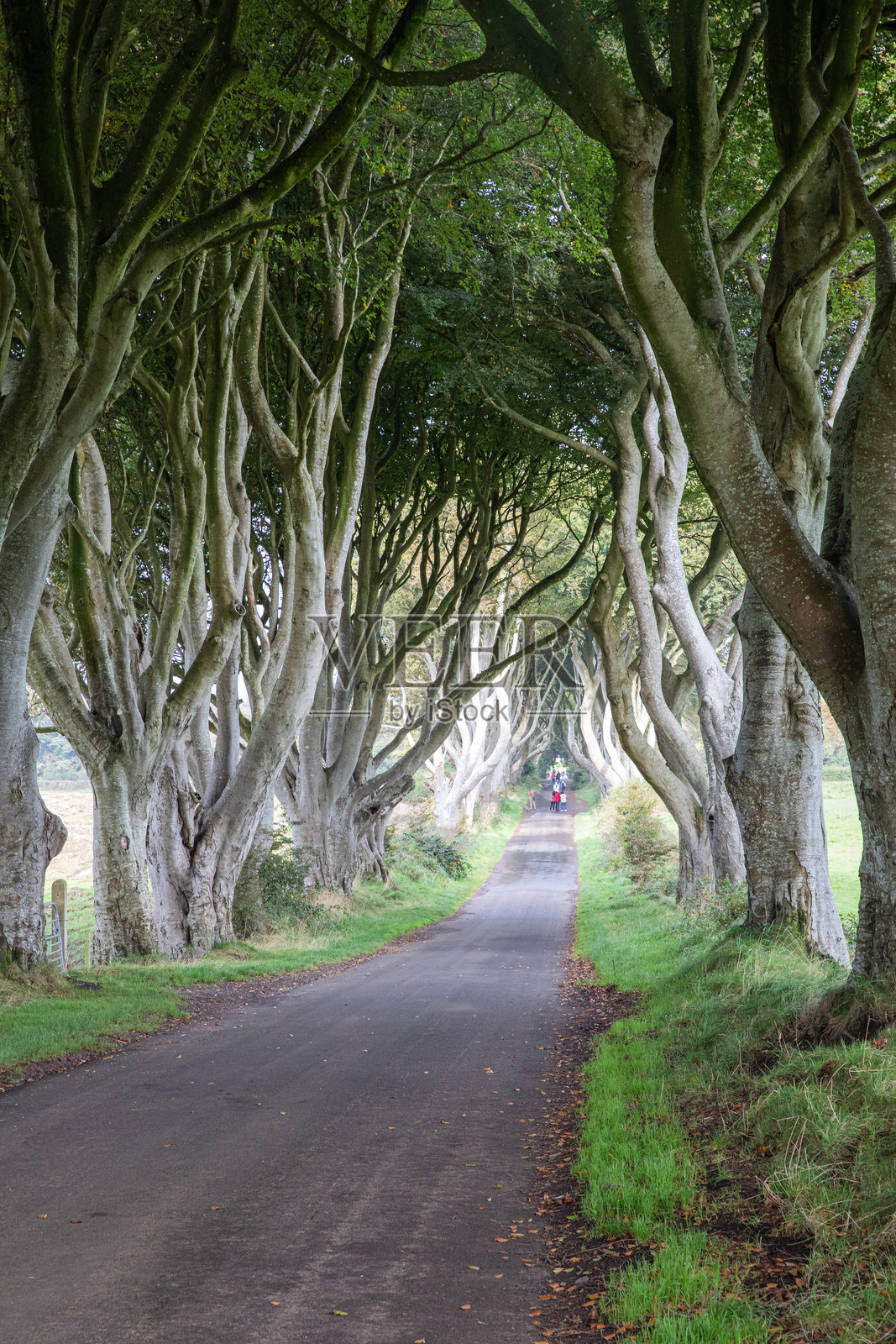 北爱尔兰照片摄影图片