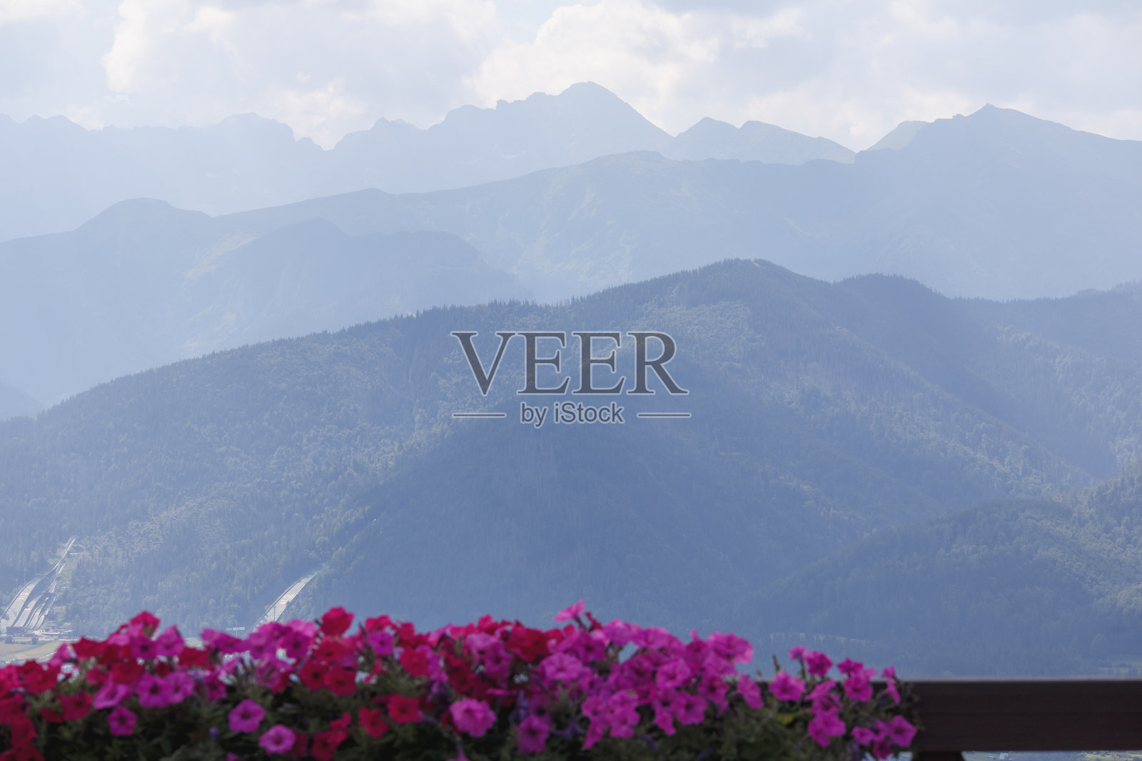 紫色花朵与天空中云彩环绕的山脉背景照片摄影图片