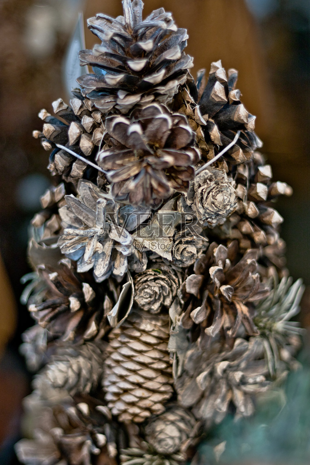 松果排列照片摄影图片