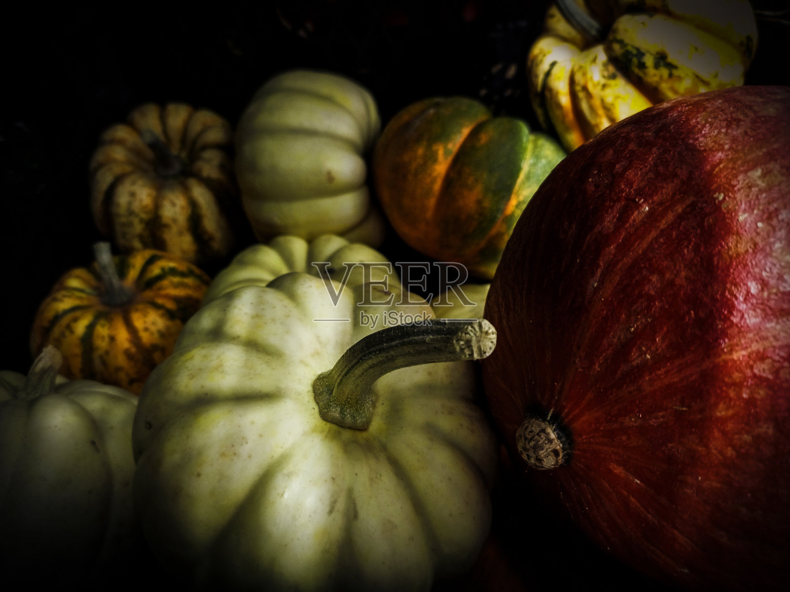 南瓜照片摄影图片