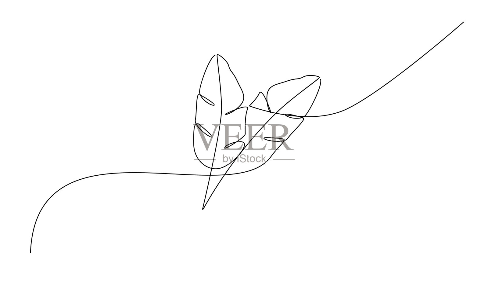 植物叶子的单线绘图。连续线条风格的矢量插图。插画图片素材