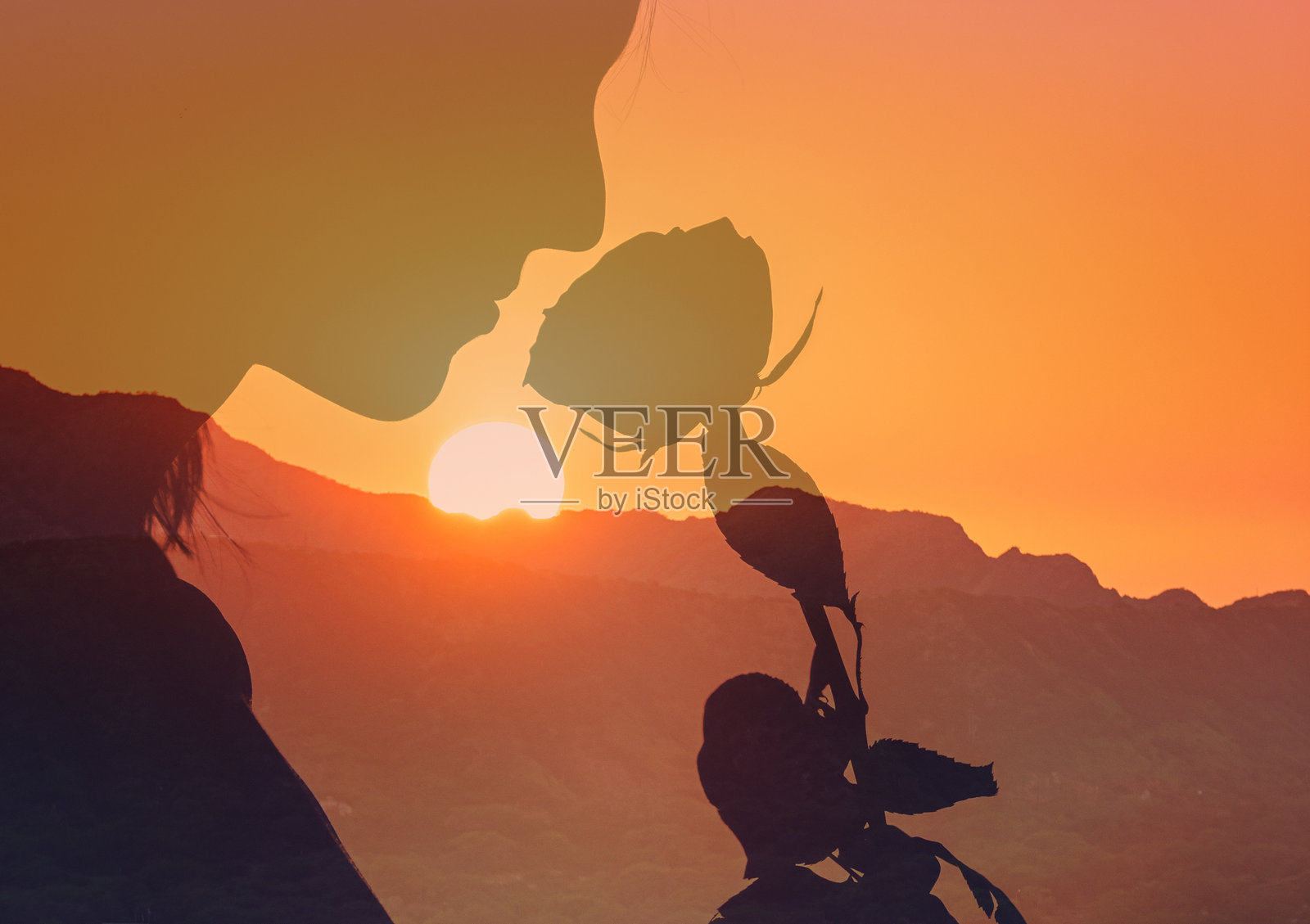 美丽的年轻女性与玫瑰剪影和日落背景。情人节庆祝活动。照片摄影图片