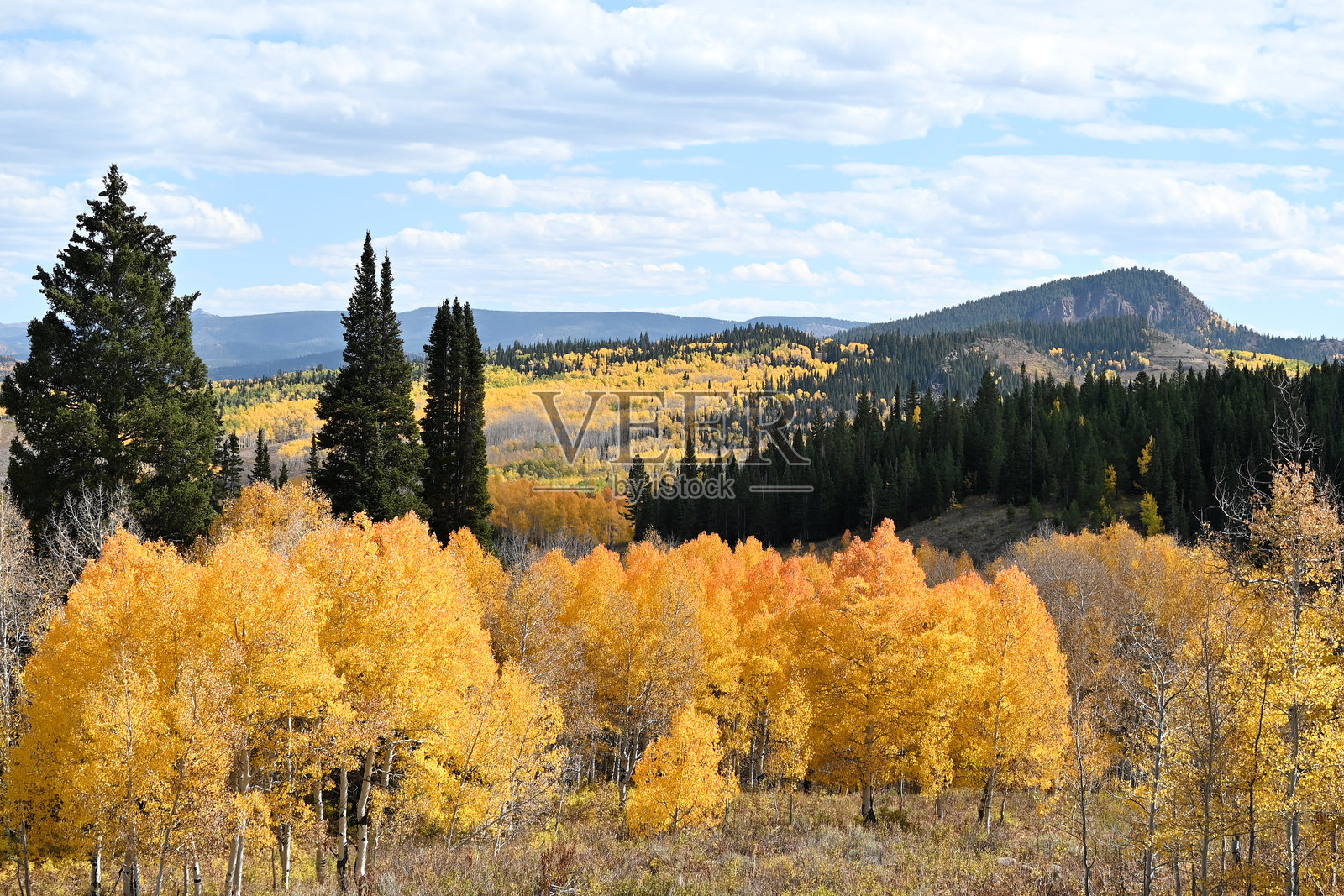 山中的秋色照片摄影图片