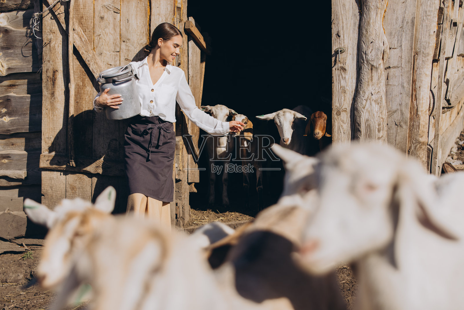 微笑的农民在乡村木棚下照顾山羊，享受乡村生活的早晨阳光照片摄影图片