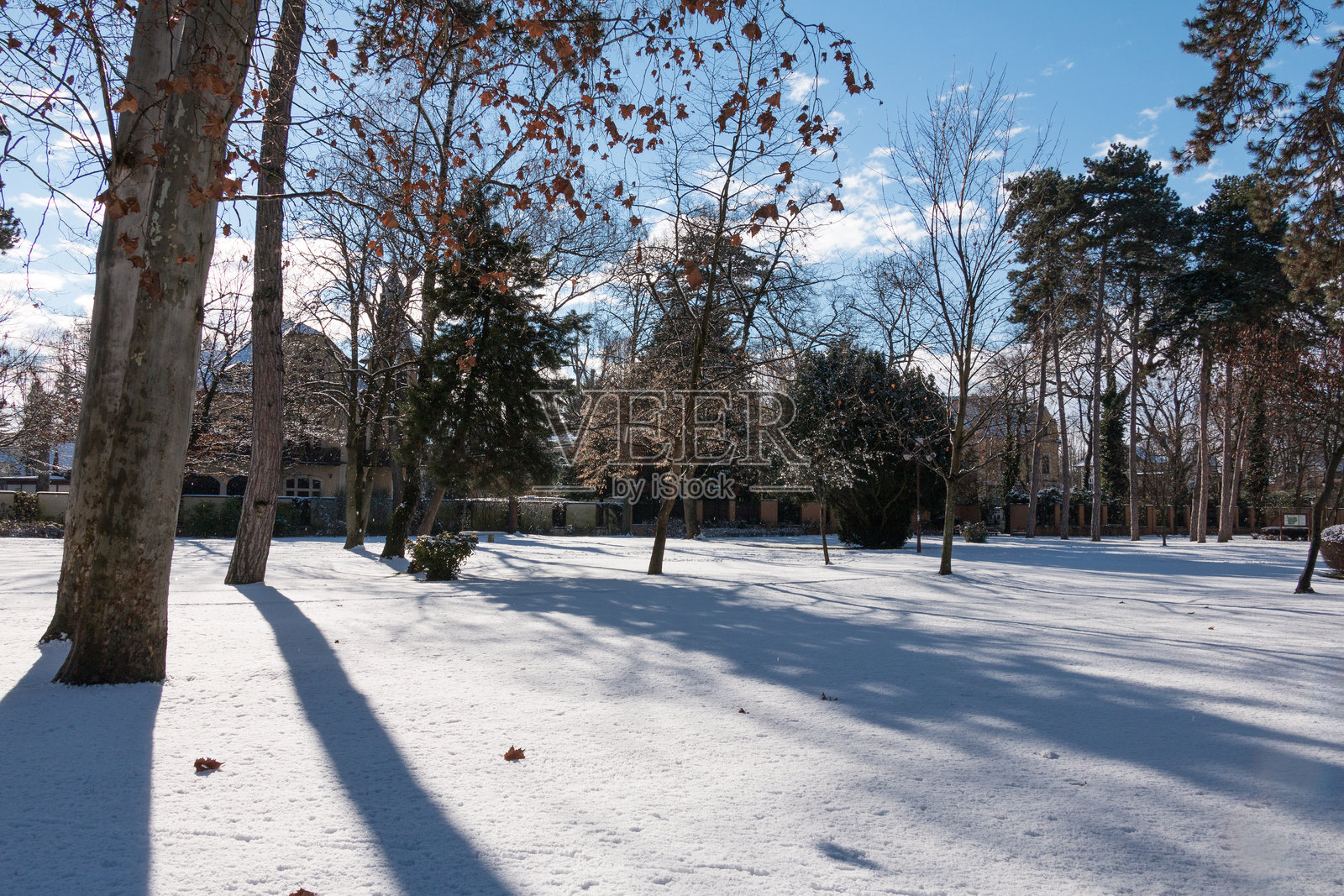 雪覆盖的风景。照片摄影图片