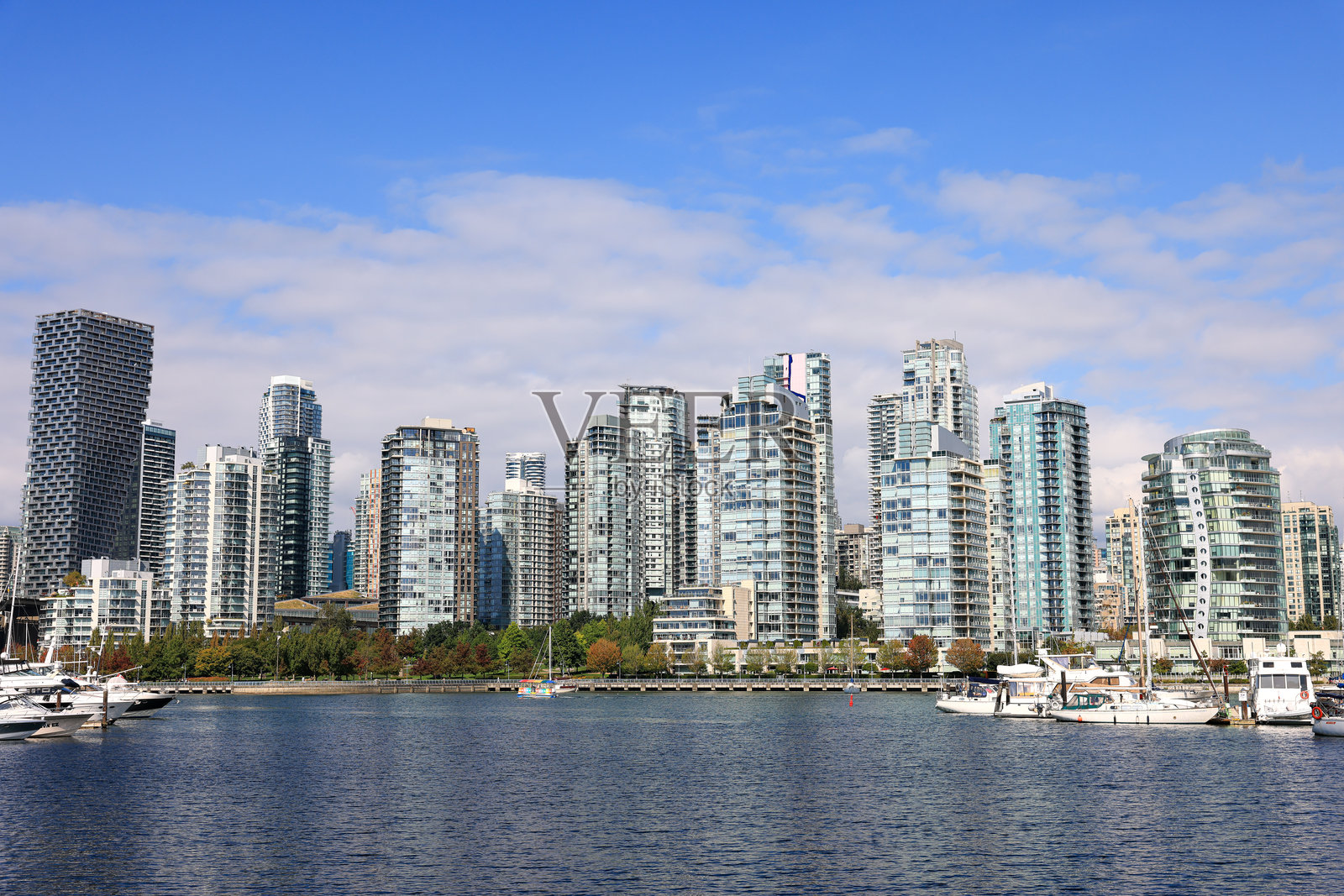 温哥华的天际线照片摄影图片