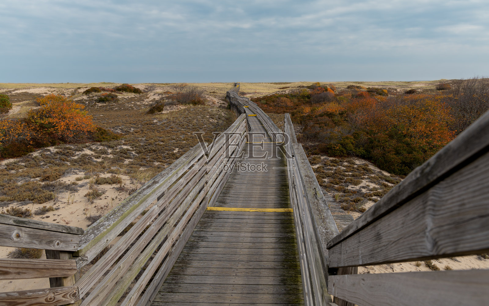 海滨步道 #1照片摄影图片