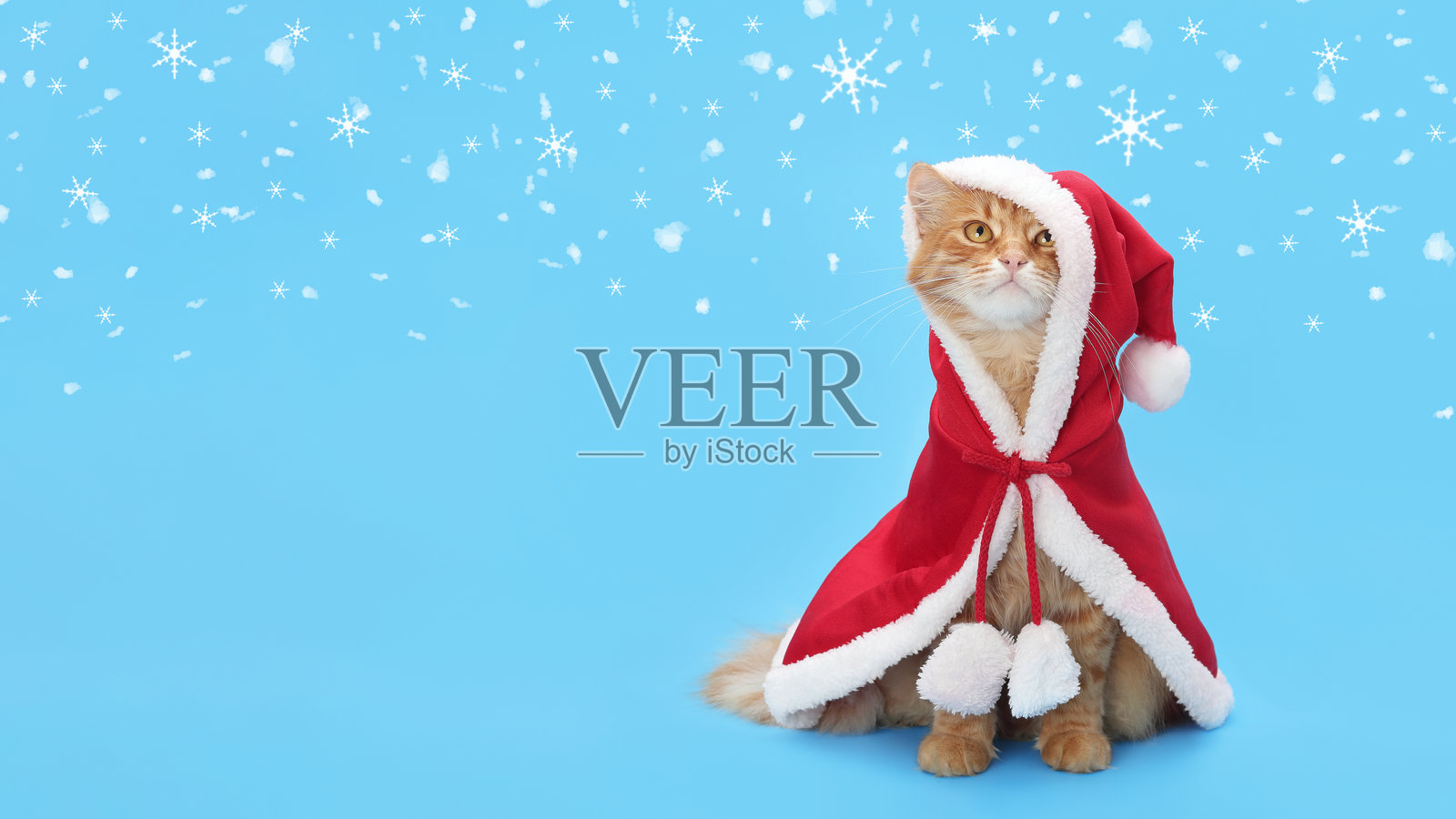 穿着红色斗篷和帽子的橙色猫咪，背景为蓝色，周围飘落着雪花。圣诞猫。圣诞庆祝活动。新年快乐。2025年。庆祝活动。新年贺卡。照片摄影图片