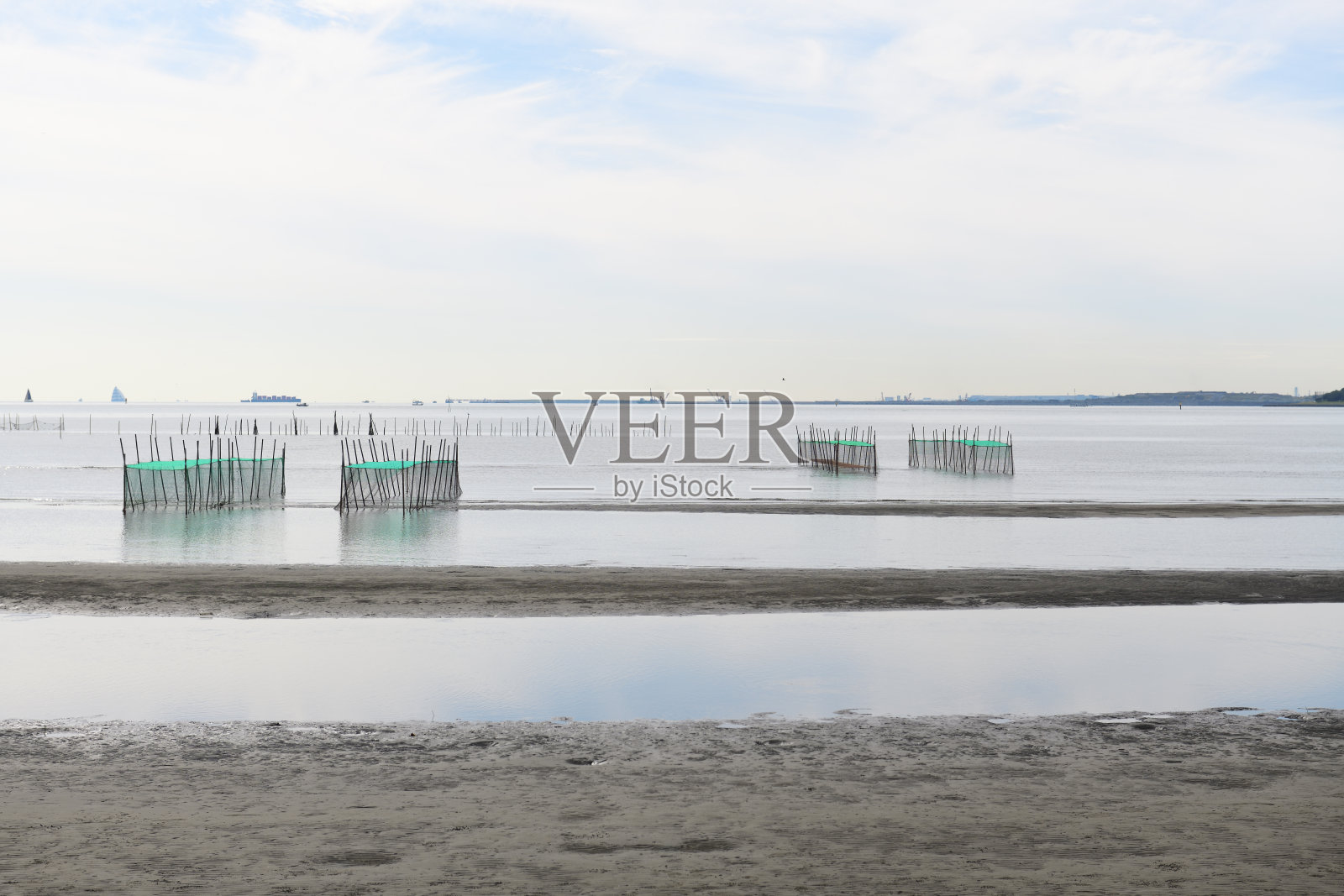 东京湾的潮滩照片摄影图片