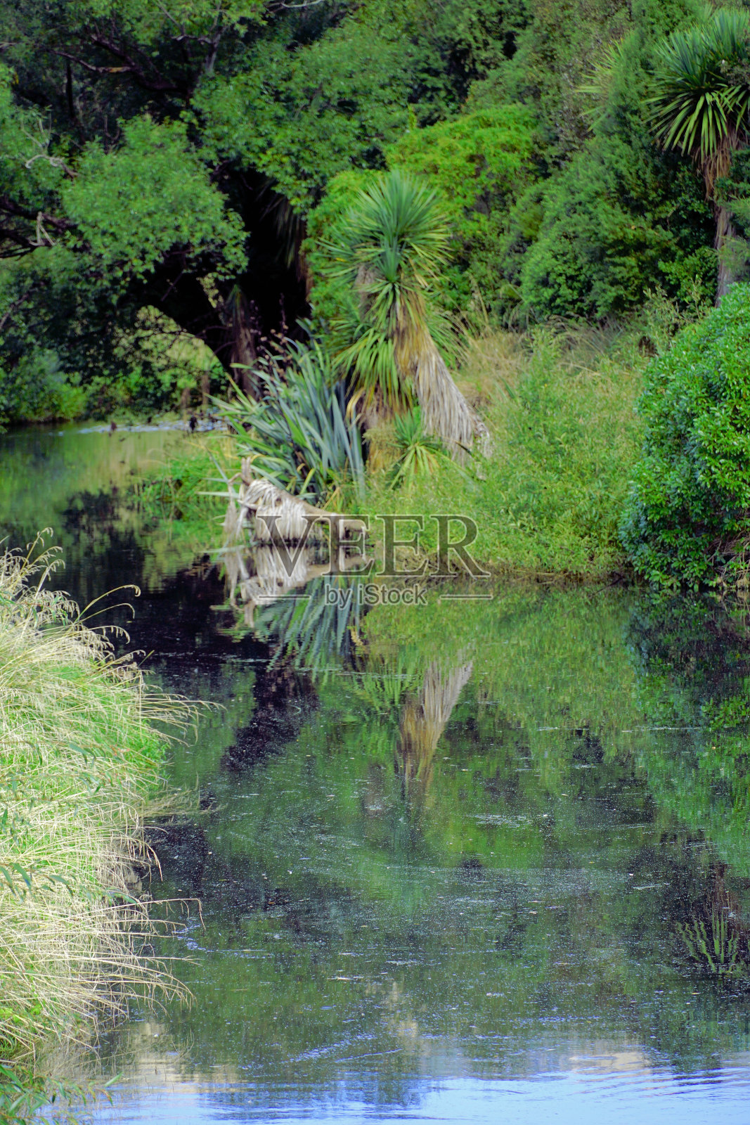 新西兰南岛照片摄影图片