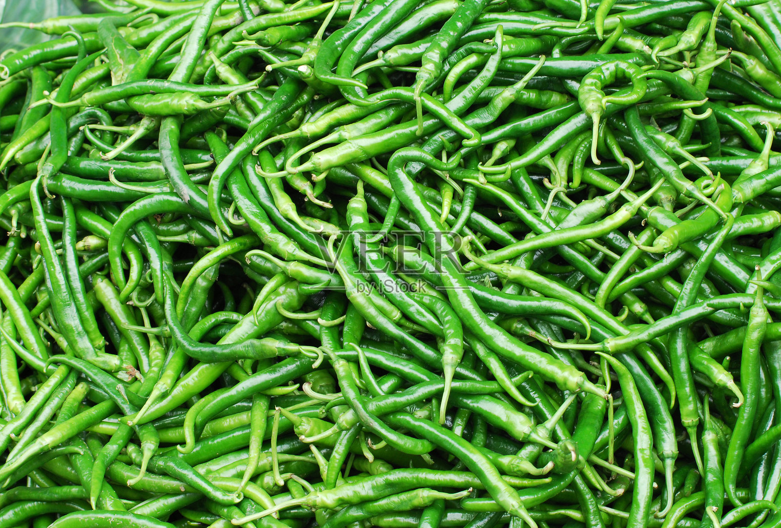 丰收季节的新鲜青椒堆照片摄影图片