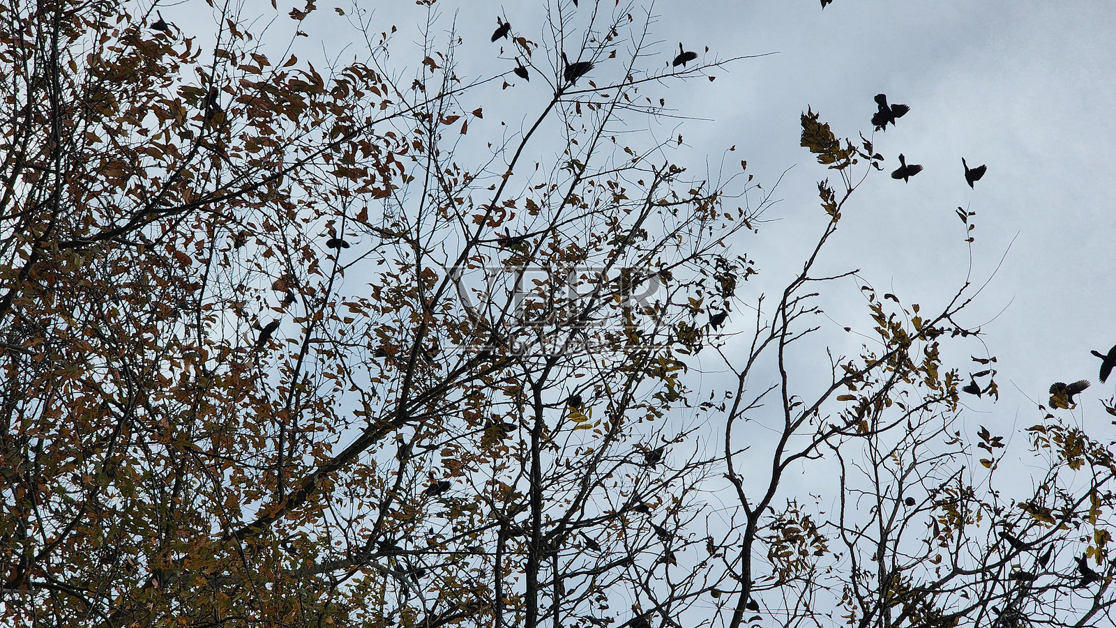 十月的秋季乡村风光照片摄影图片