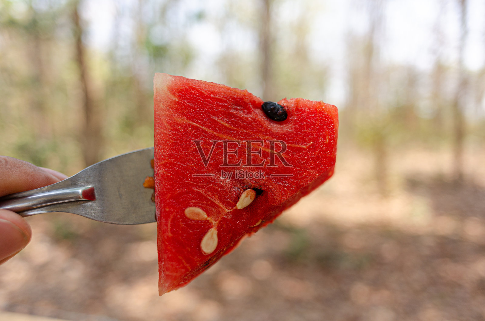 甜美的西瓜照片摄影图片