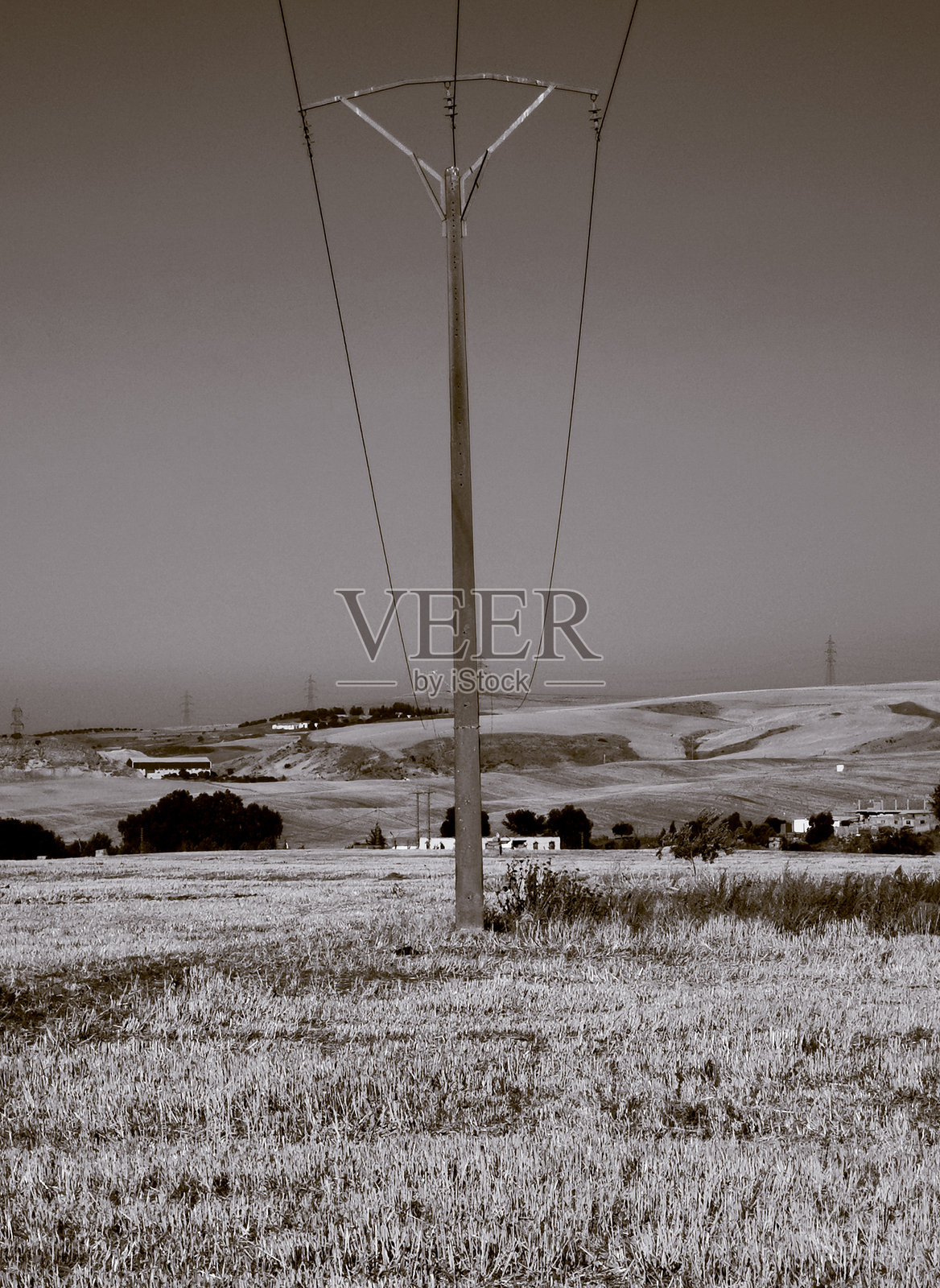 撒哈拉沙漠中的电力杆照片摄影图片