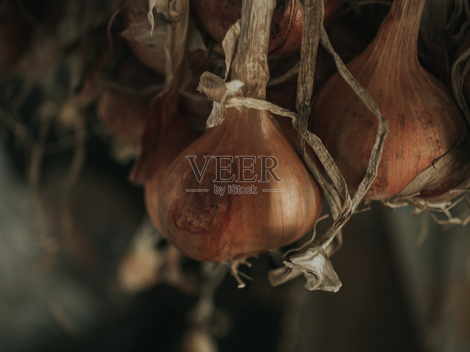 印度洋葱照片摄影图片