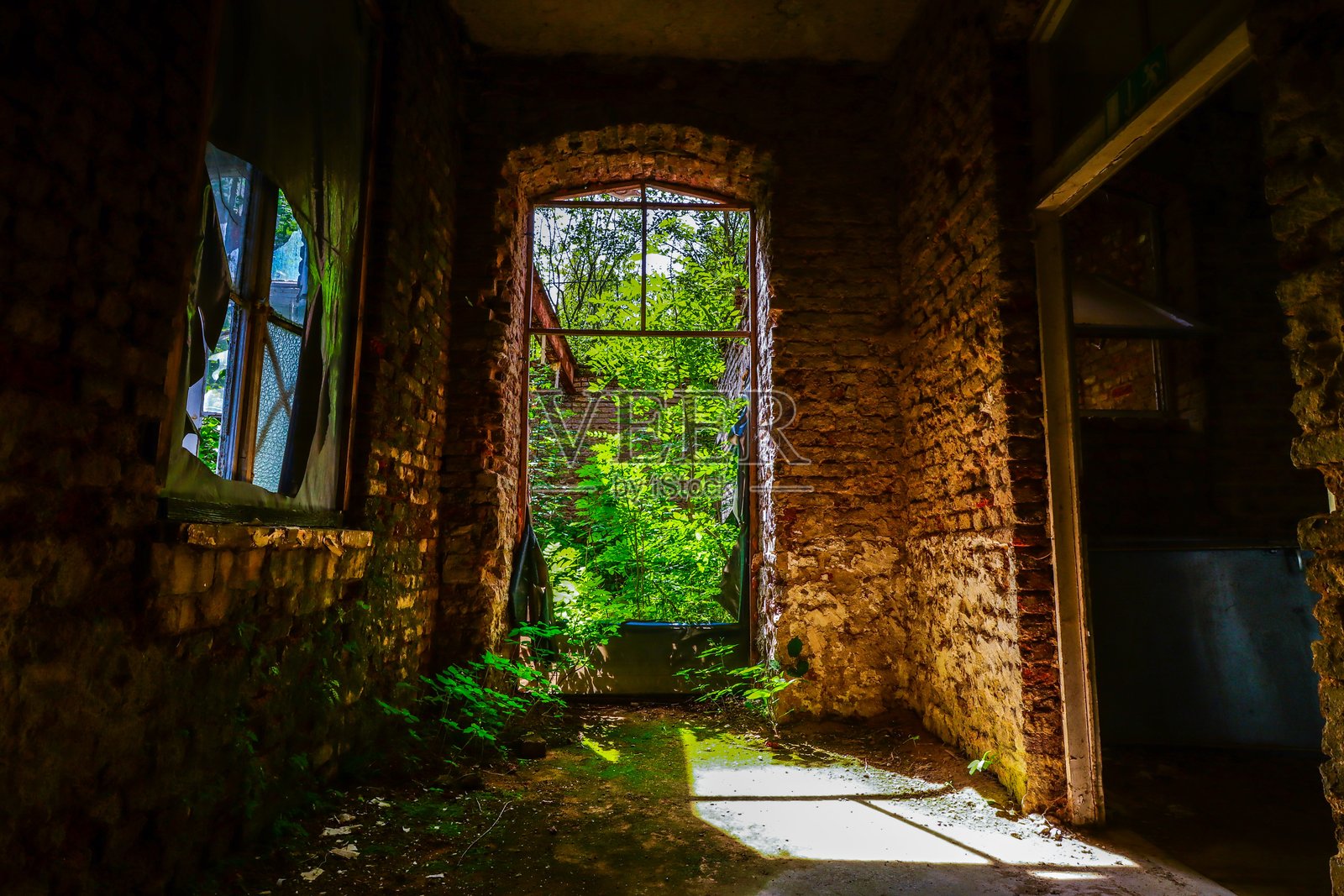 长满杂草的旧工厂砖墙照片摄影图片