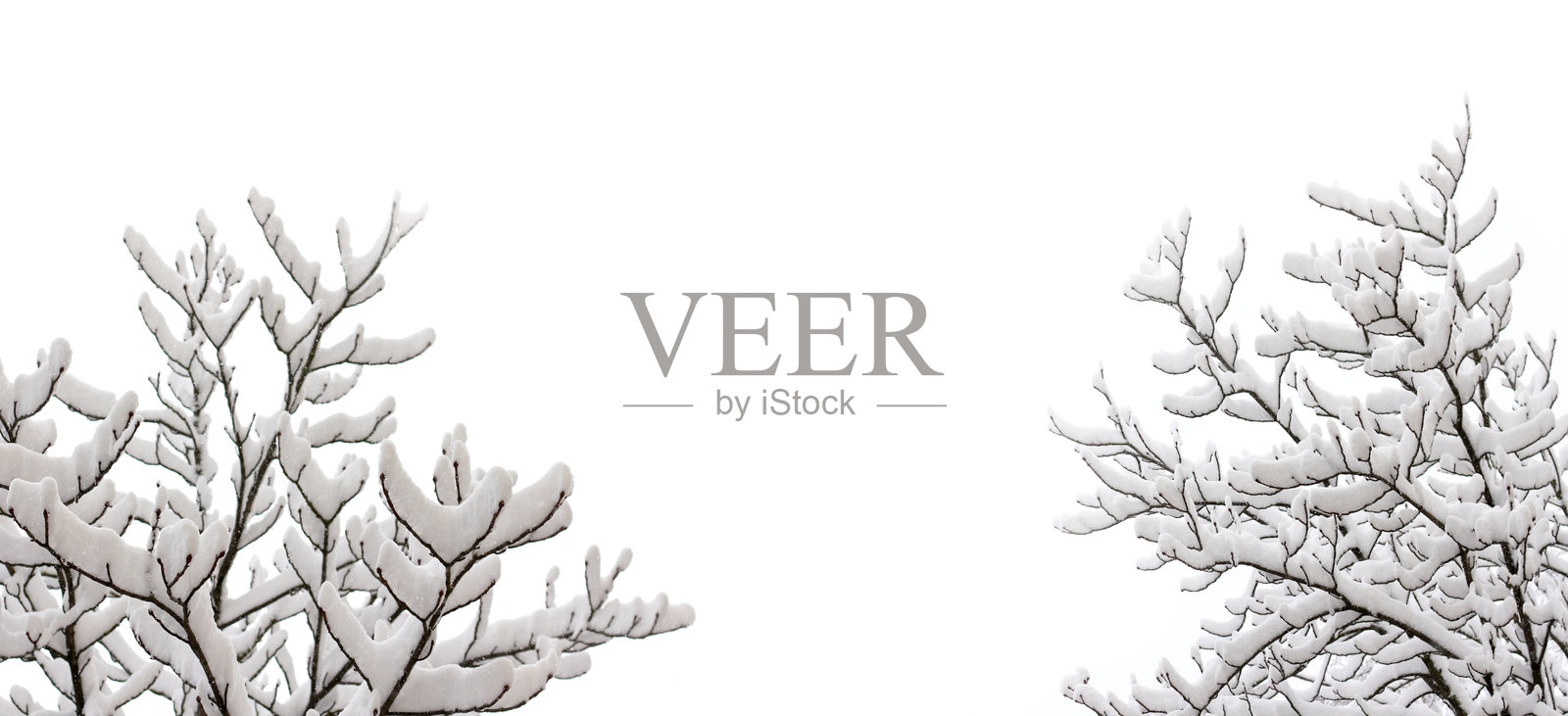 宁静的冬季背景照片摄影图片