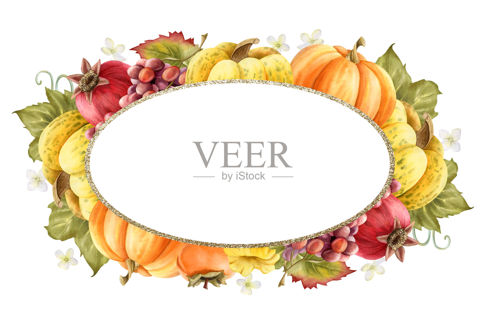 五彩水彩南瓜丰收椭圆框模板，适用于有机食品设计。农场花园蔬菜和水果的独立插图，留有空白空间。感恩节秋季标签设计。照片摄影图片