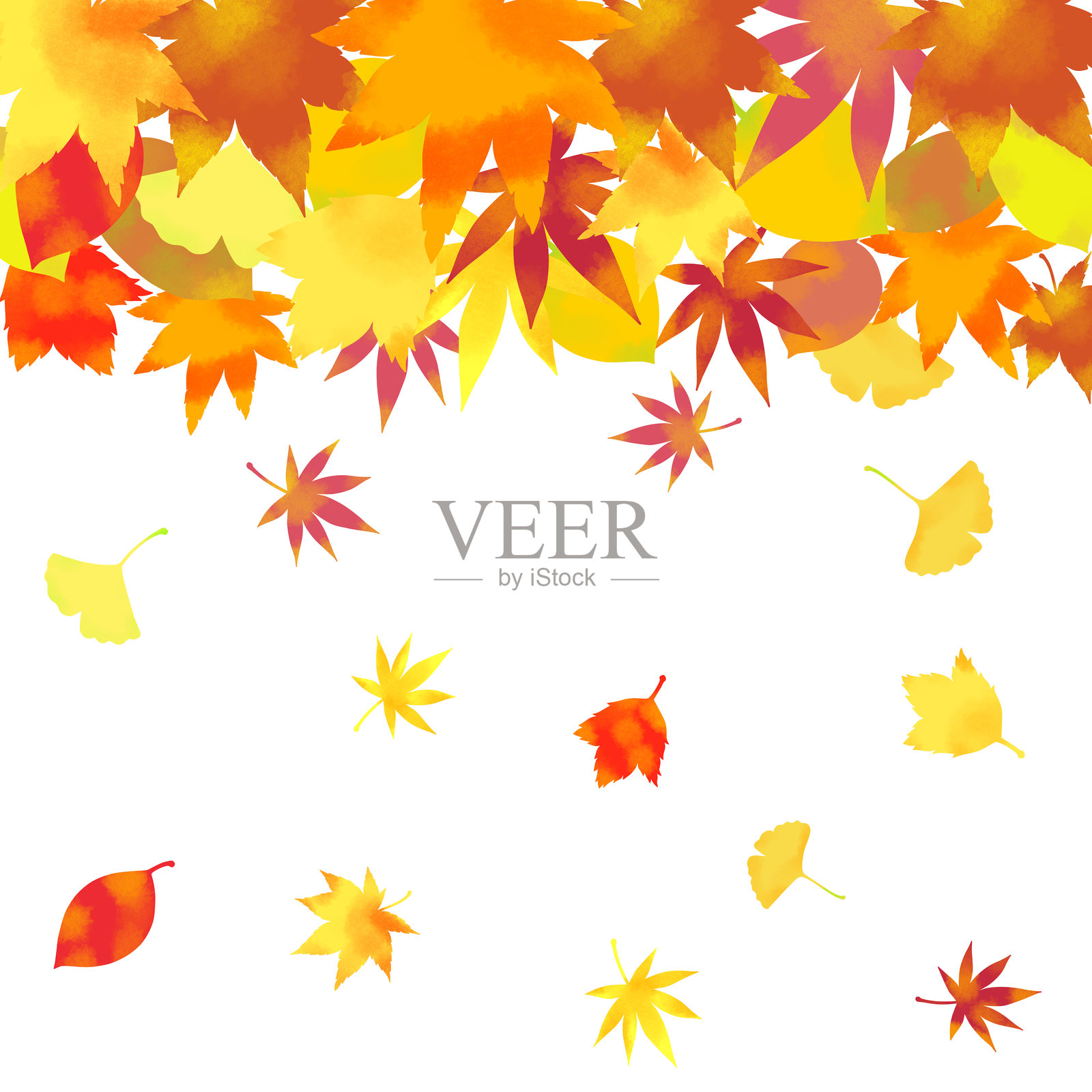 秋天落叶插图背景素材照片摄影图片