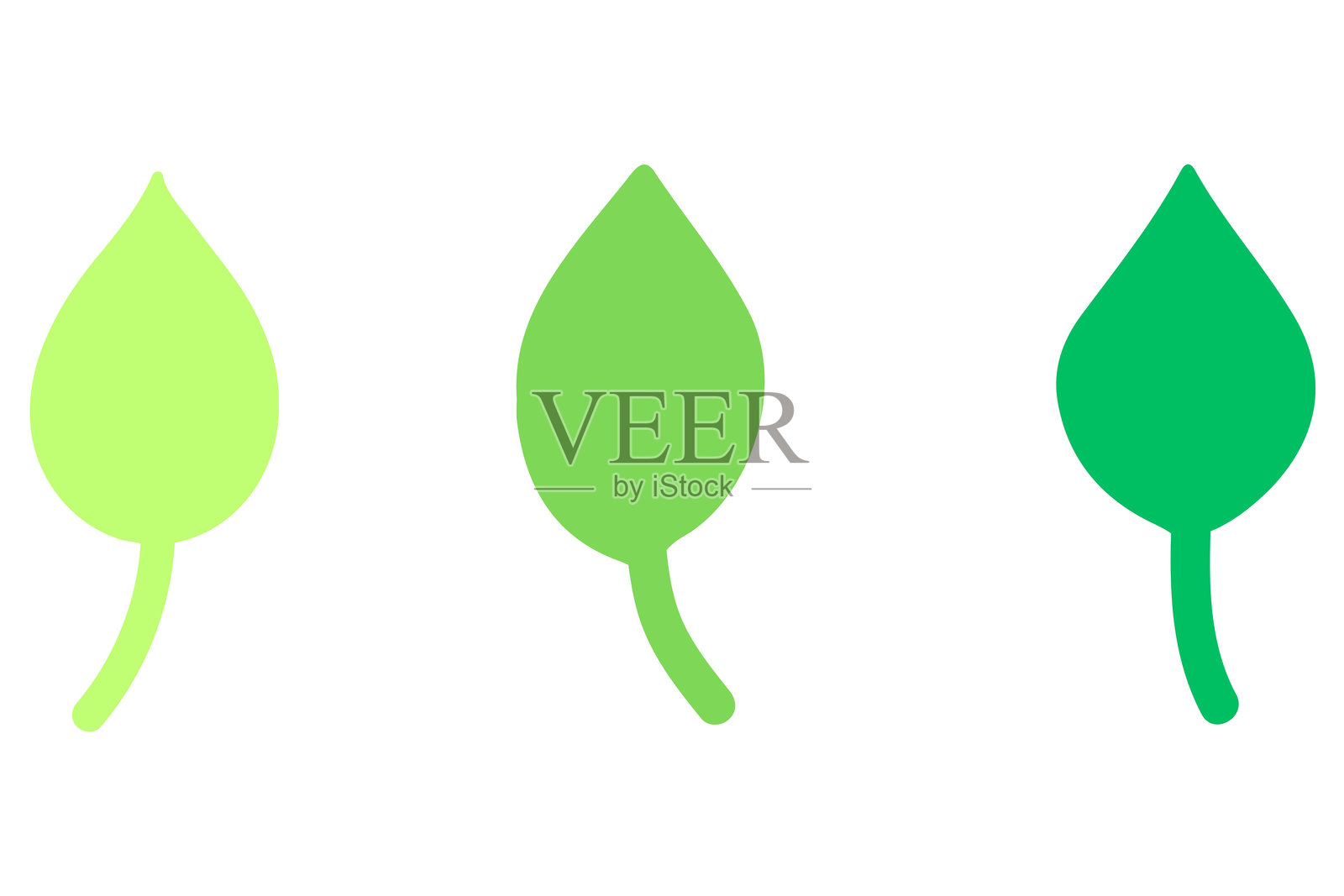 叶子图标。自然草本设计插画图片素材