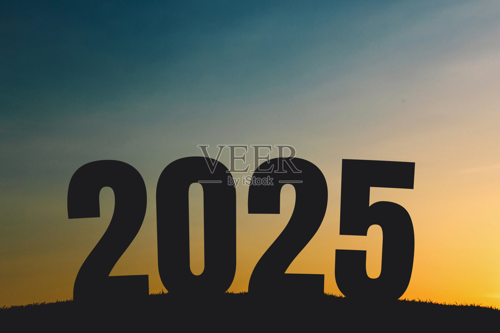 草地上的2025年快乐新年创意构思剪影照片摄影图片