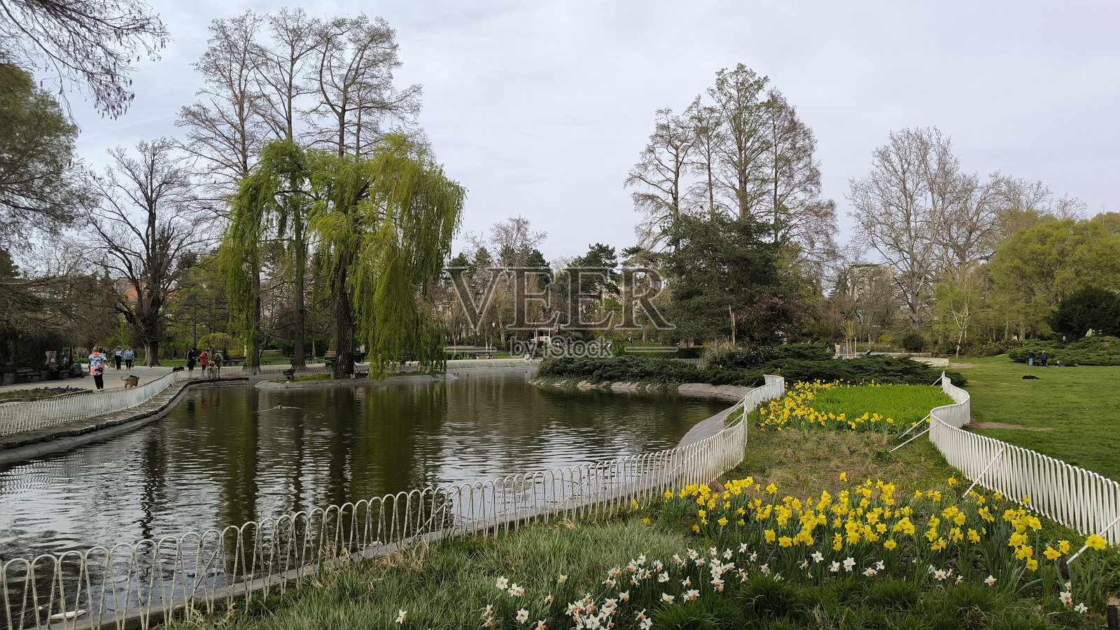 阳光明媚的春日城市公园照片摄影图片
