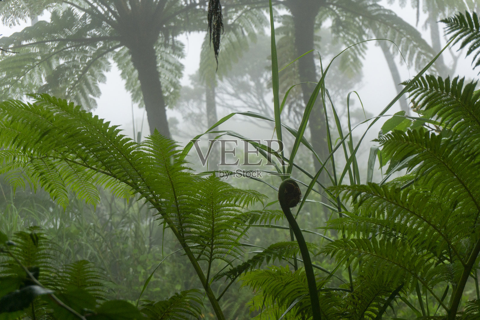 大自然是富有创造力的照片摄影图片