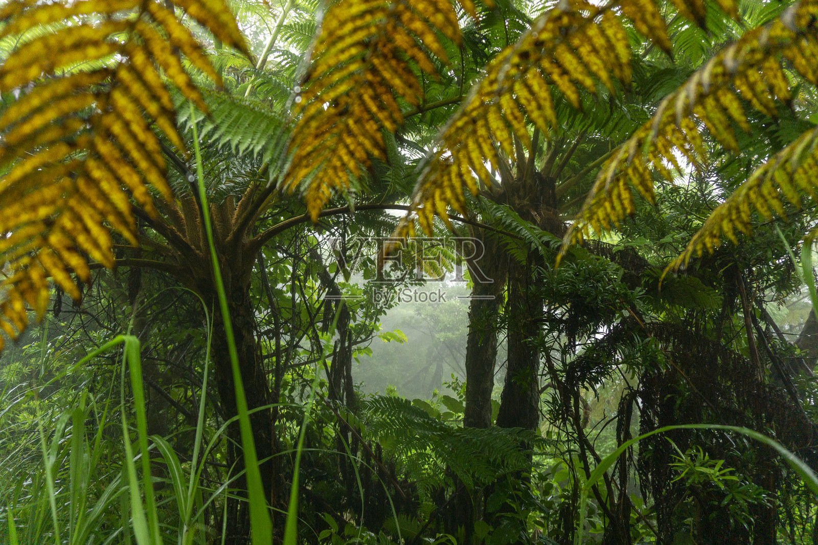 大自然是富有创造力的照片摄影图片