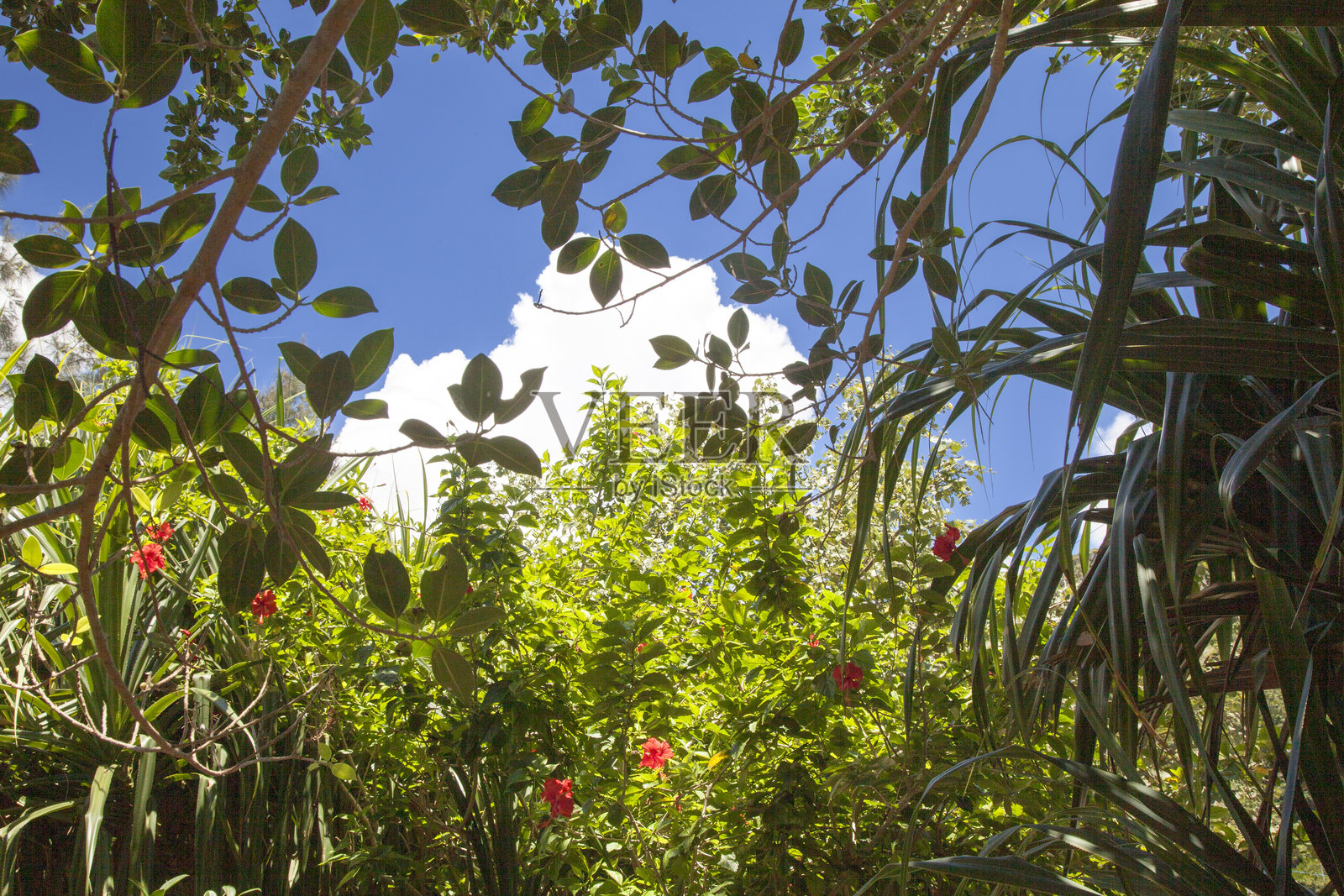 大自然是富有创造力的照片摄影图片