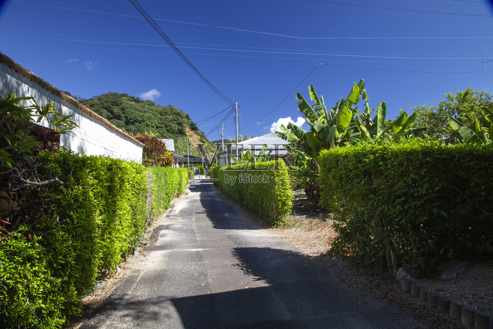 大自然是富有创造力的照片摄影图片