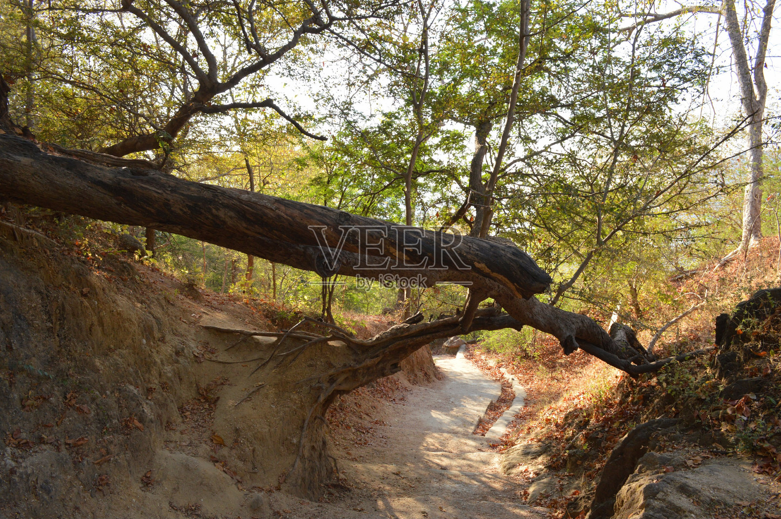 24号七月公路旅行 U40照片摄影图片