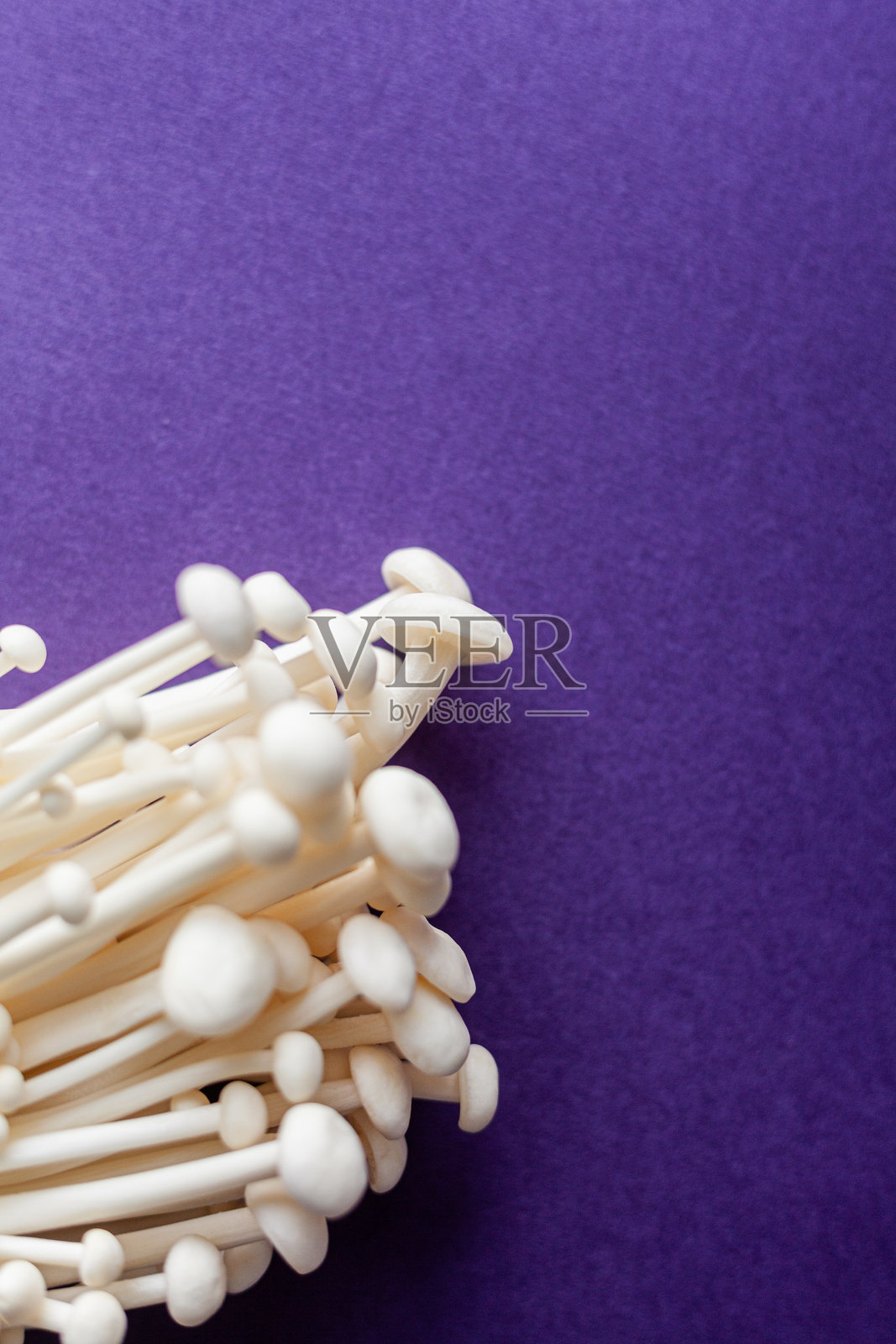 蘑菇照片摄影图片