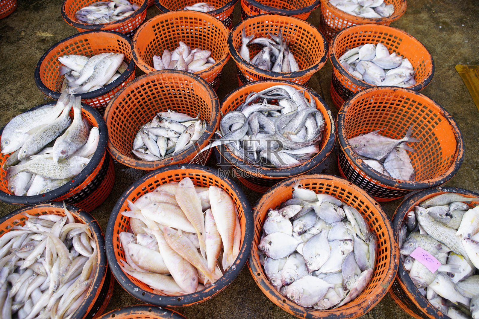 鱼市中五彩缤纷的篮子里的新鲜捕获照片摄影图片