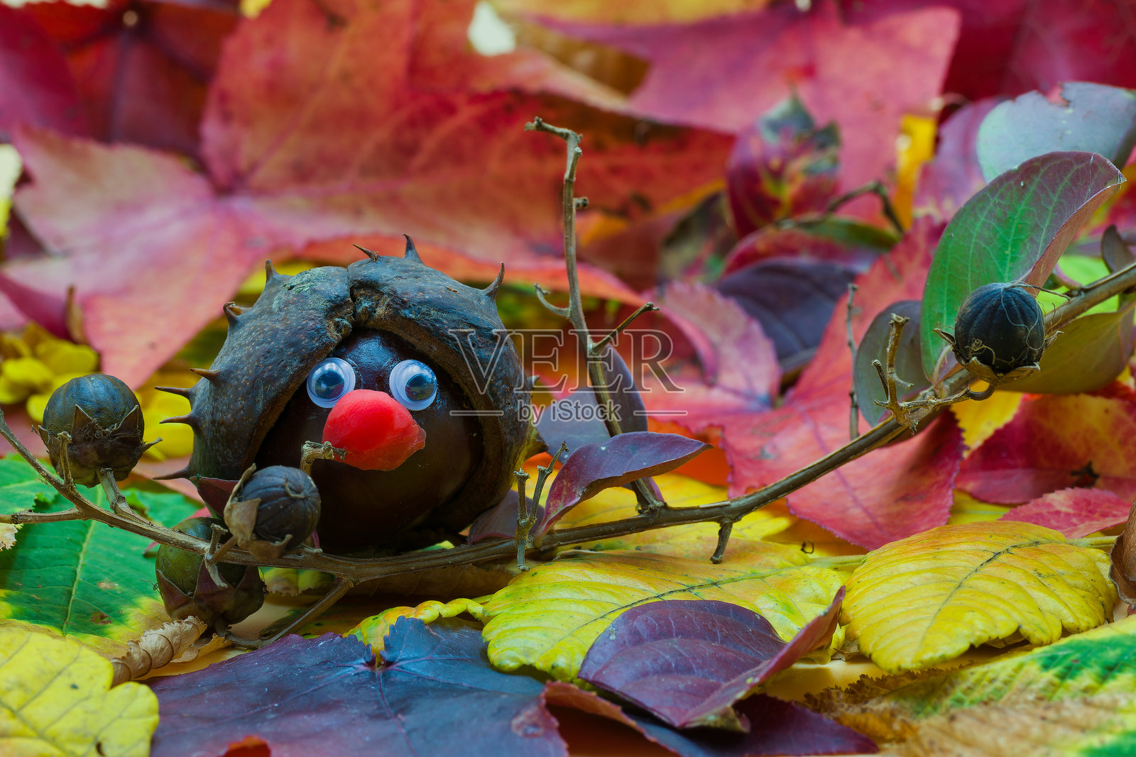 秋天， figurines，栗子，背景，裁剪，手工艺，工艺，颜色，粉彩，特写，照片摄影图片