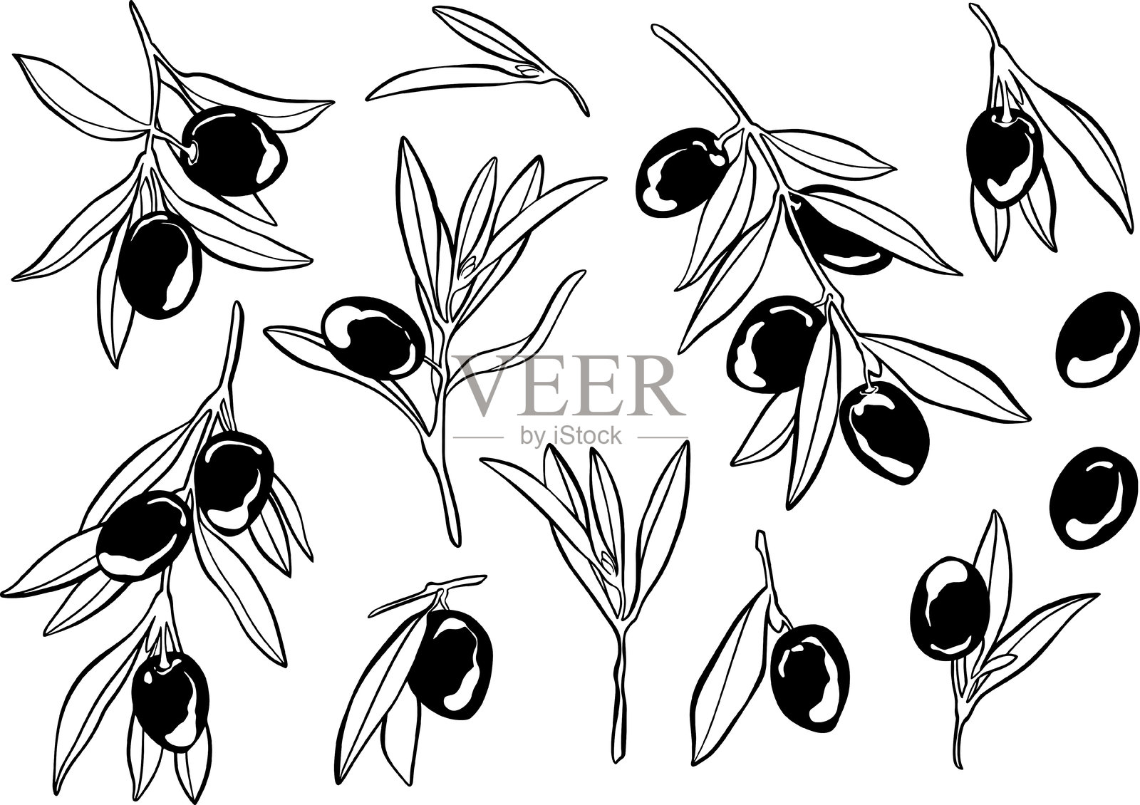 橄榄素描元素集合插画图片素材
