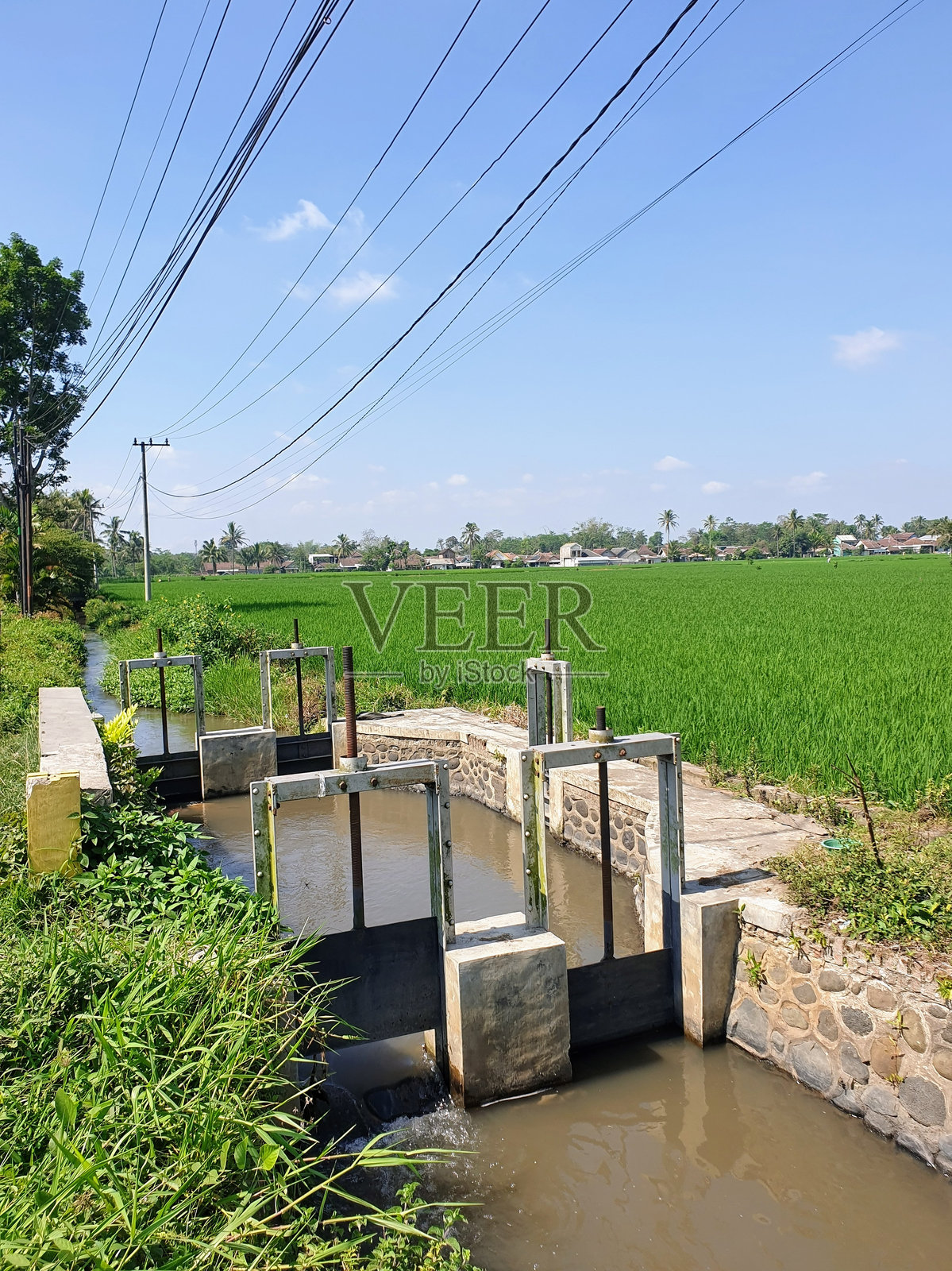小型水坝或水闸用于灌溉稻田照片摄影图片