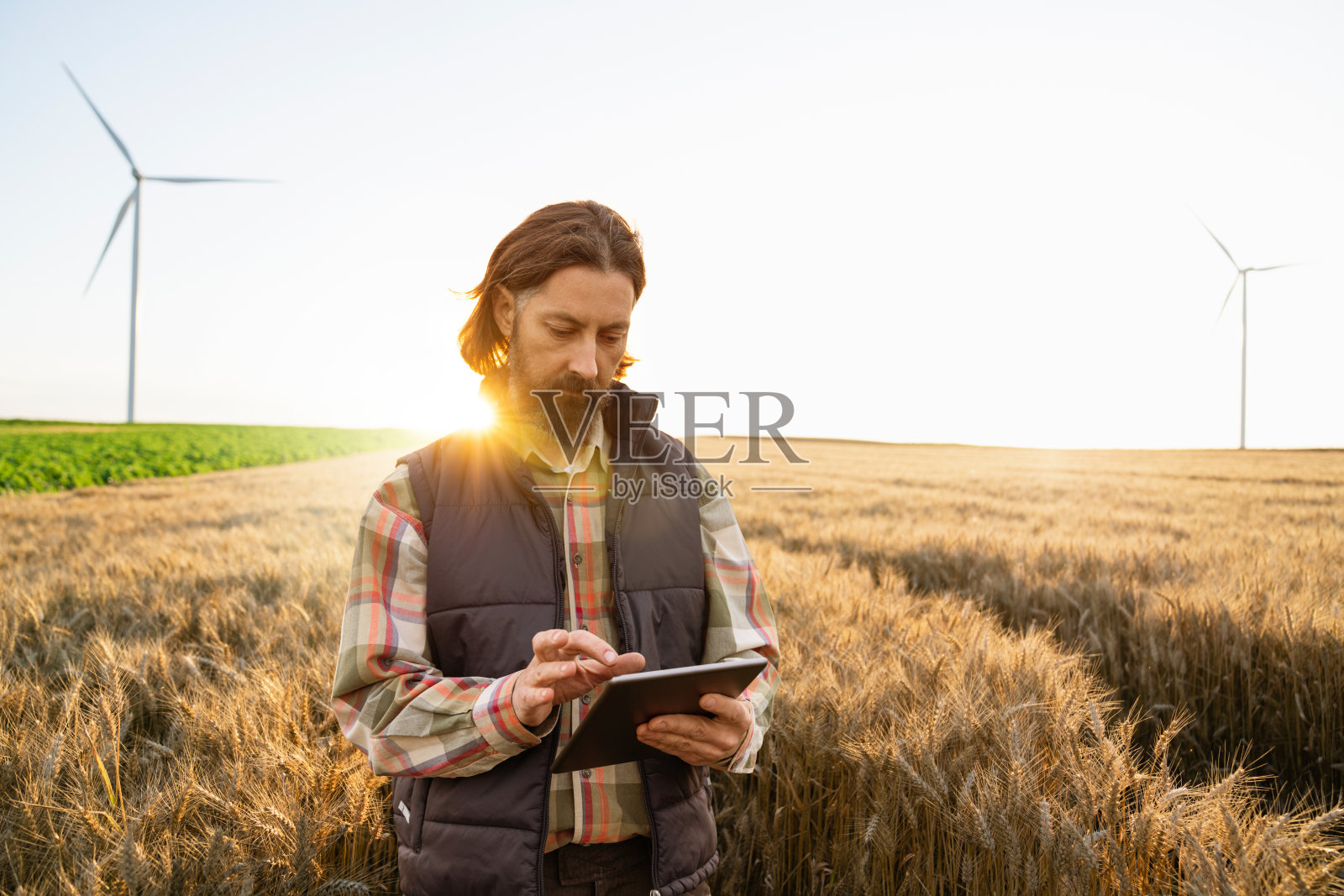 农民手持数字平板在日落时分的农田里工作，背景有风力发电机。照片摄影图片