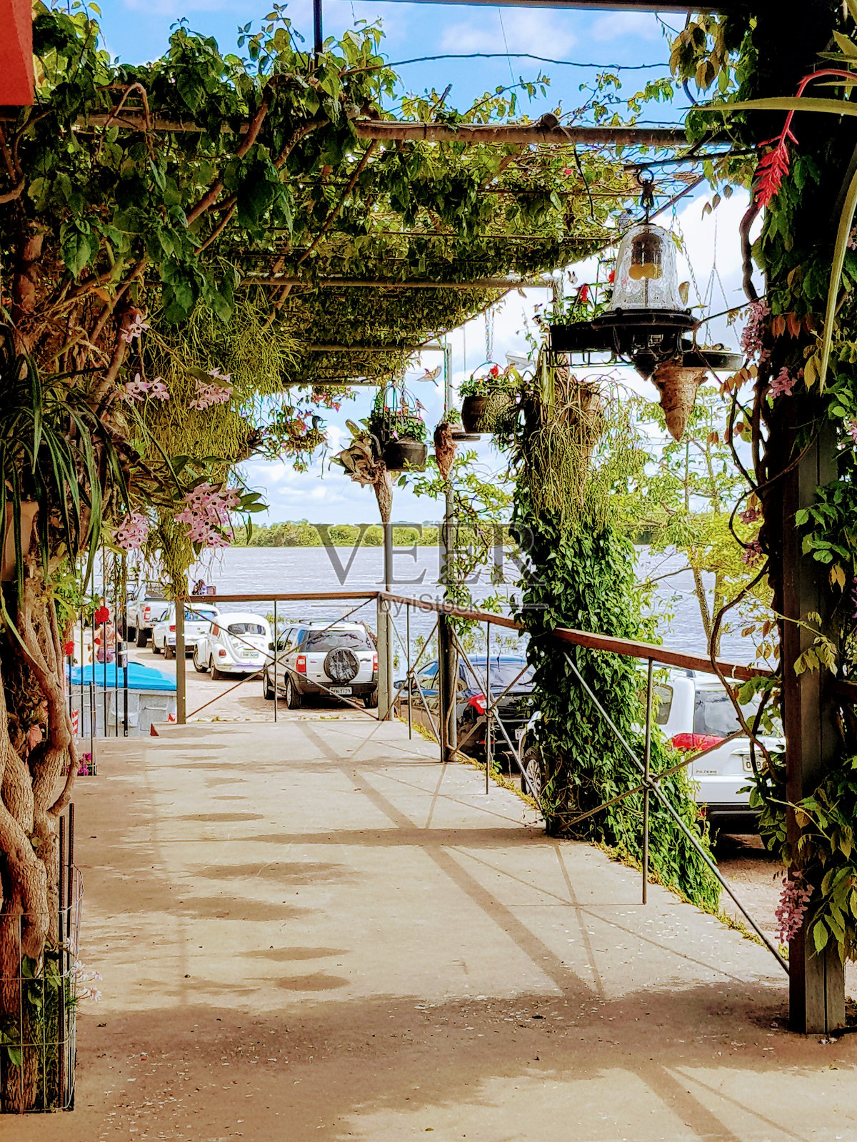 花园照片摄影图片