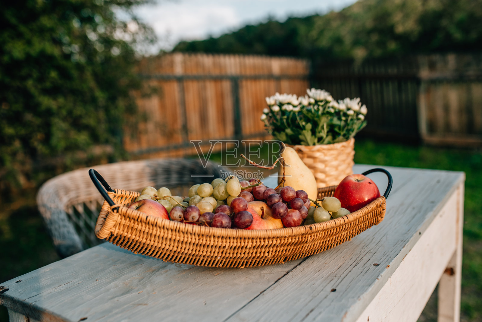 装满花园收获水果的柳条篮子。秋季丰收。秋天季节。照片摄影图片