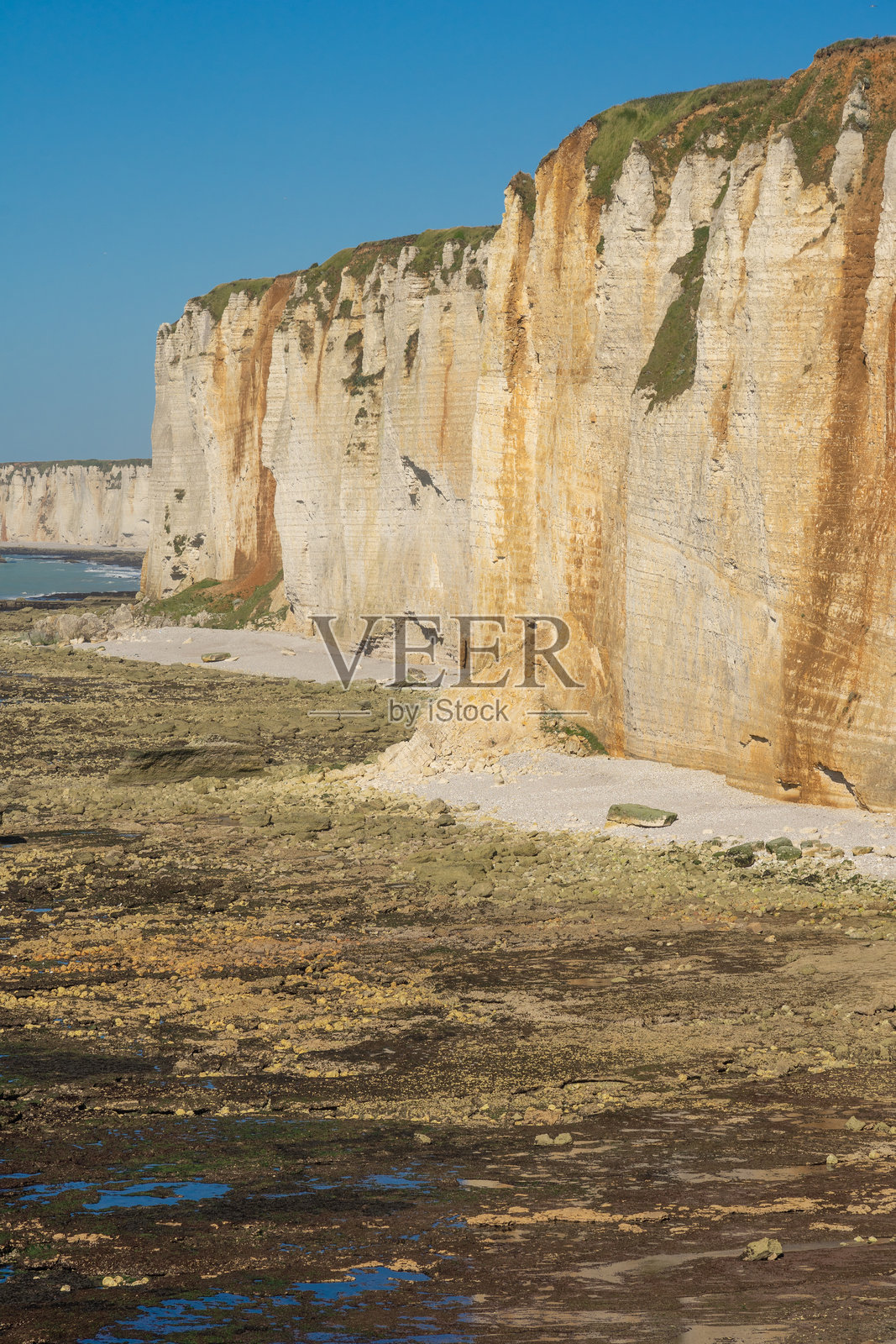 法国诺曼底地区的艾特雷塔（Etretat）白垩海岸悬崖，在阳光明媚的日子里。阿拉巴斯特海岸的阿蒙悬崖（Falaise d'amont）。照片摄影图片