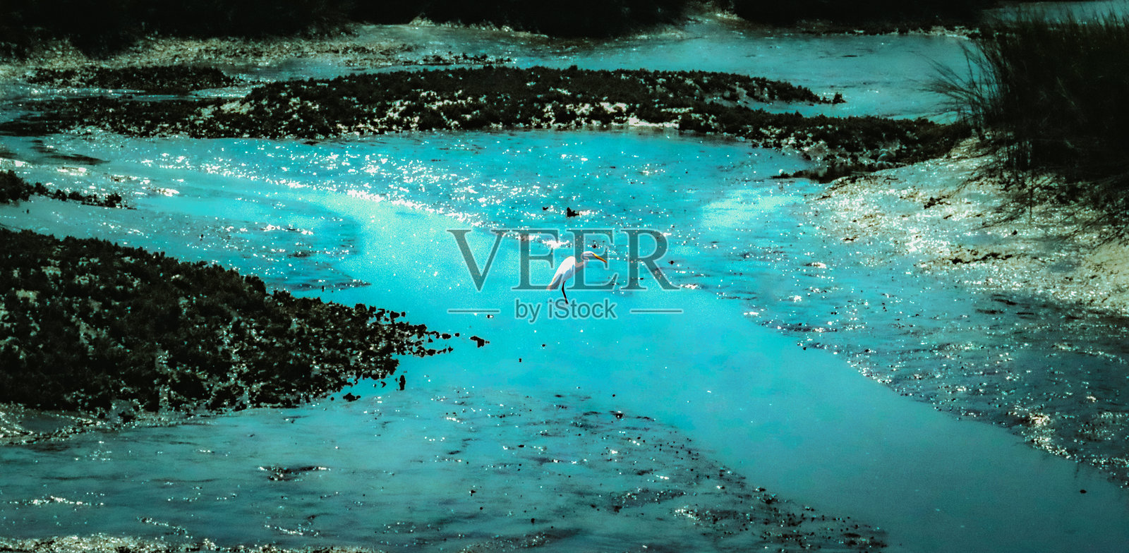 坎伯兰岛盐沼景观照片摄影图片