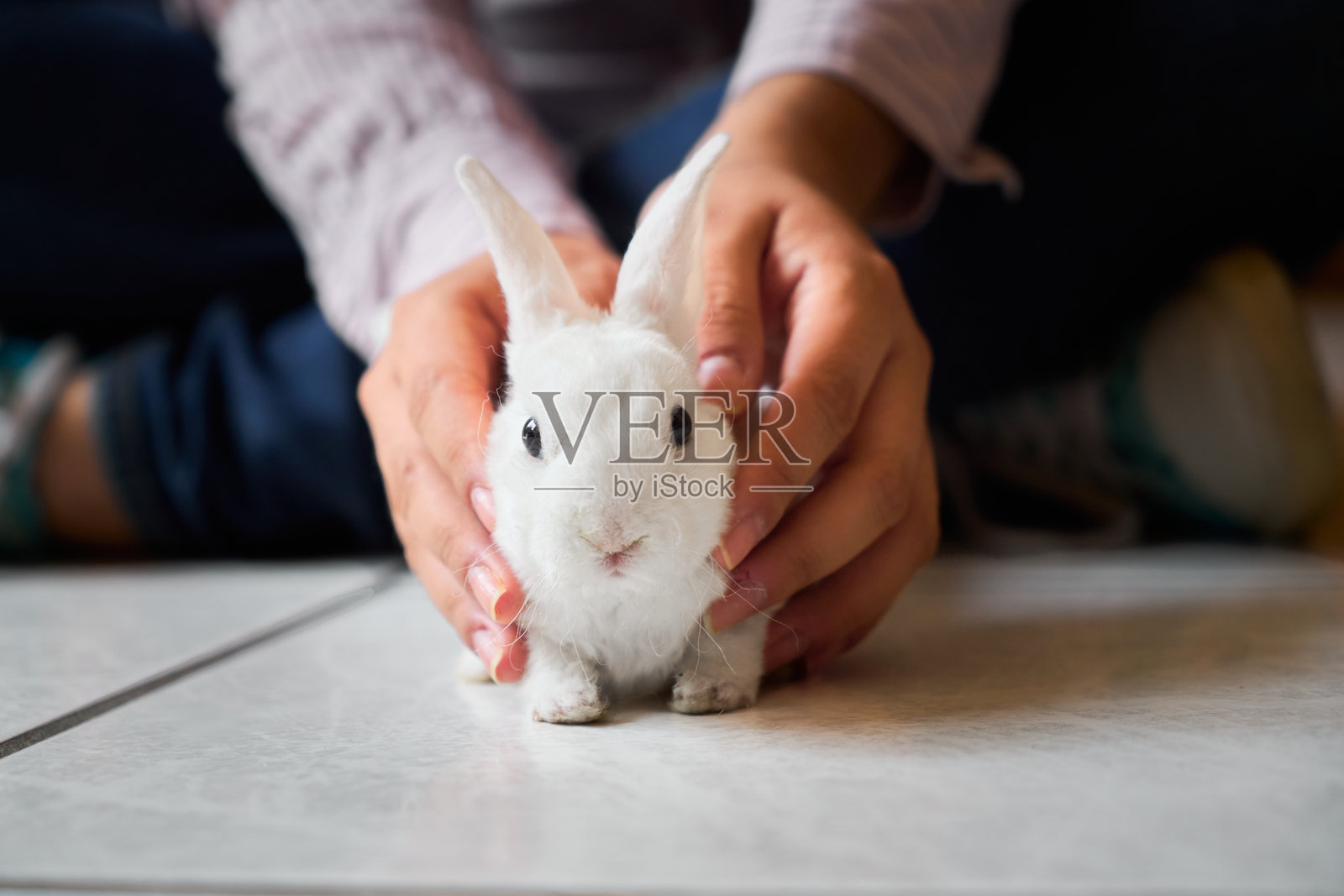 女人手中抱着小兔子，正看着镜头。照片摄影图片