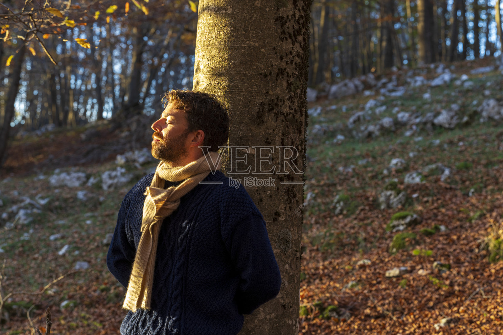 夕阳下靠在树上的帅气男士肖像照片摄影图片