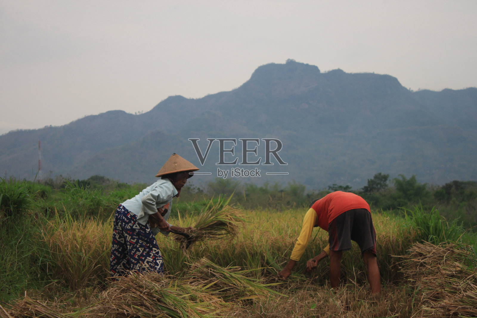 农民的生活照片摄影图片