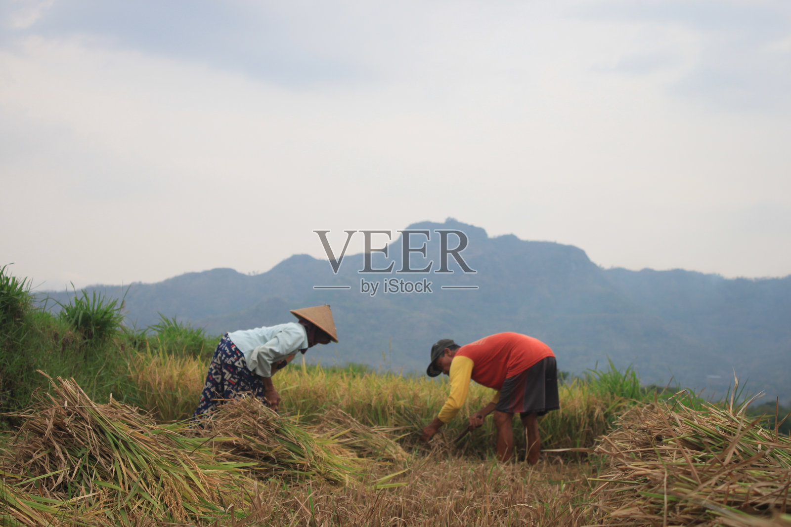 农民的生活照片摄影图片