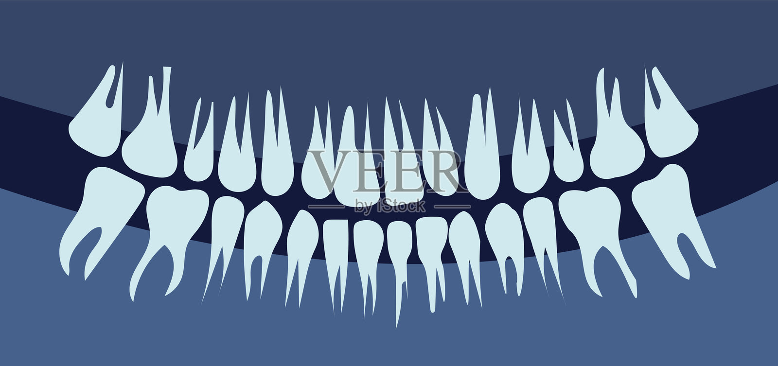 X光图像显示骨骼。口腔X光图像显示牙齿。牙科与口腔医学。诊断与治疗。医疗与医学。平面矢量插图。插画图片素材